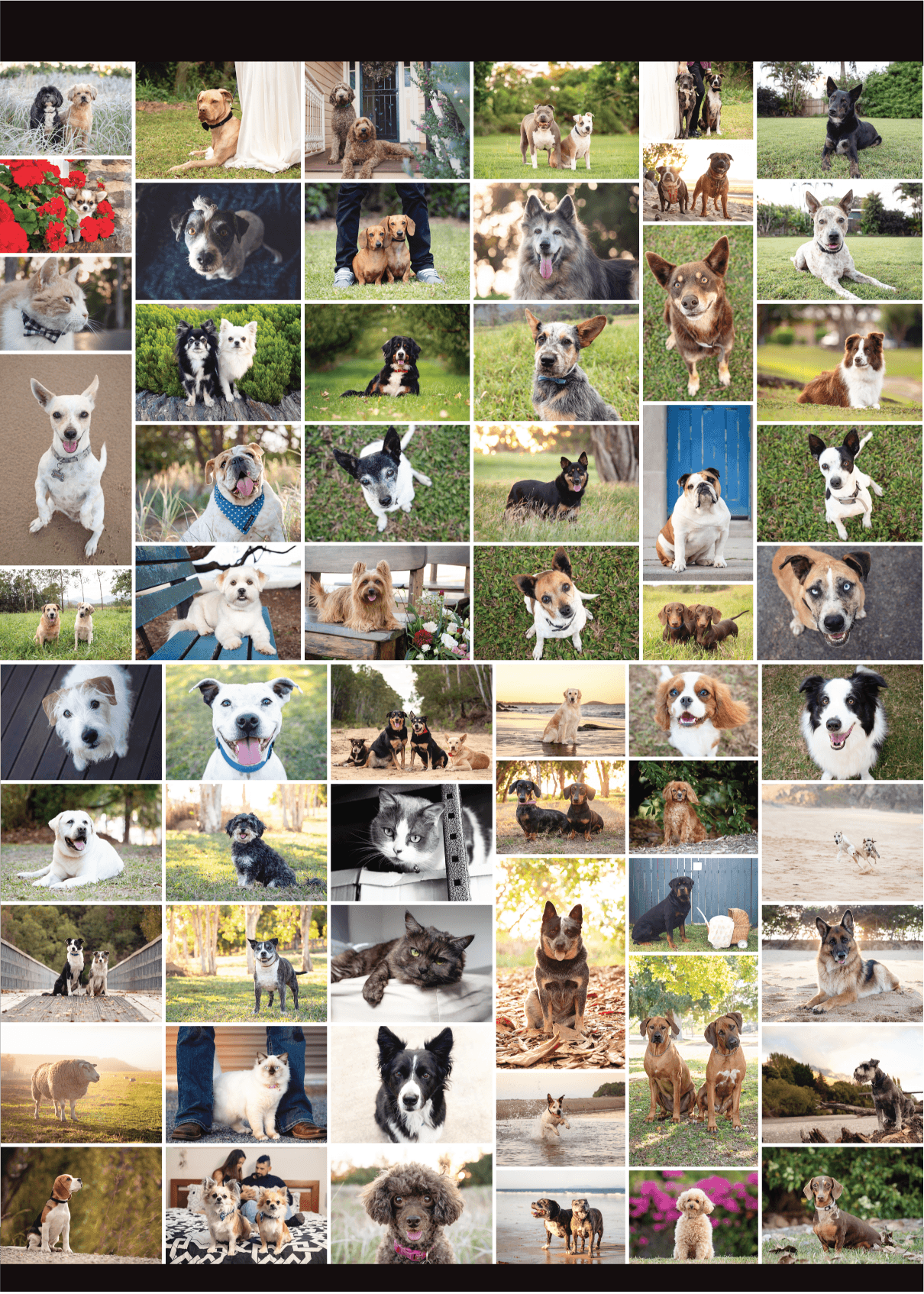 coffee-hops-calendar-2020-Back-Collage.png