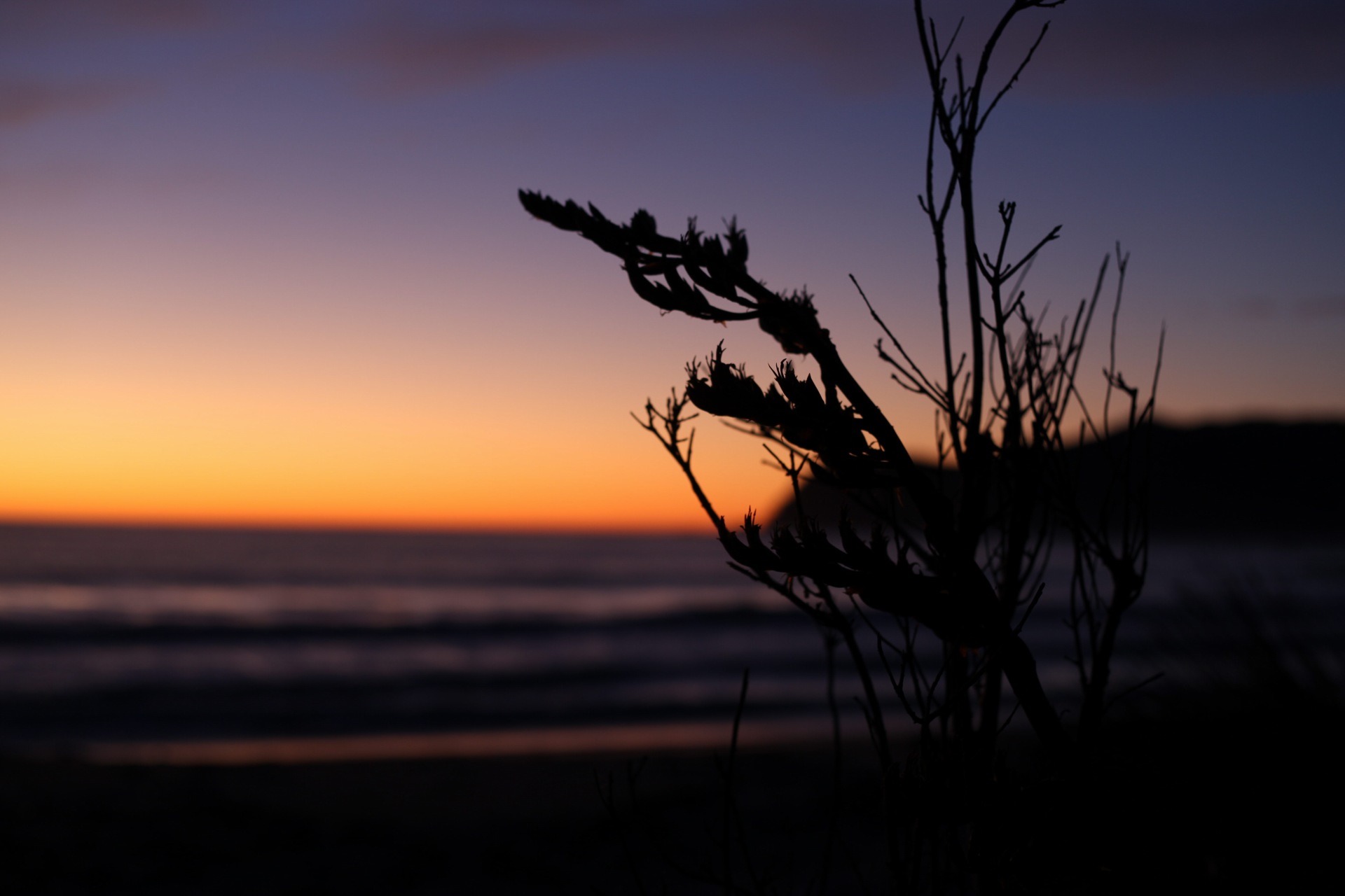 Sunrise at Waipiro Bay