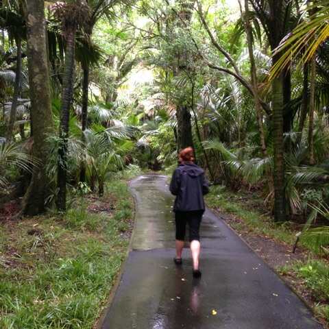 Walk to the Morere Hot Springs