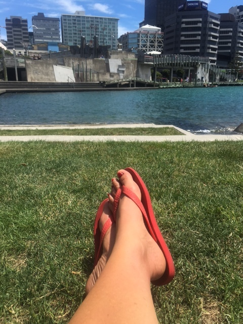 Chill time in Wellington