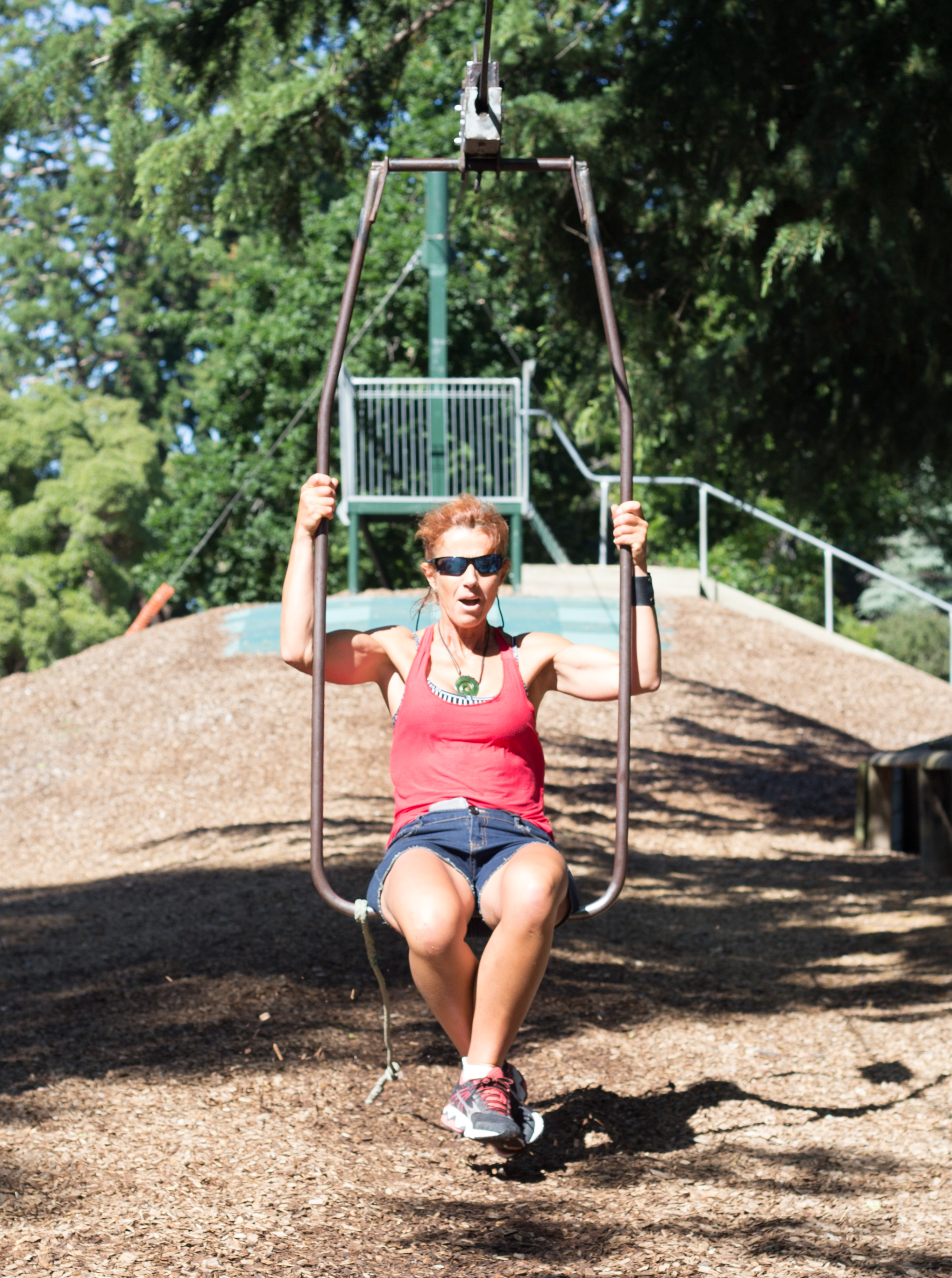 Flying Fox in Masterton