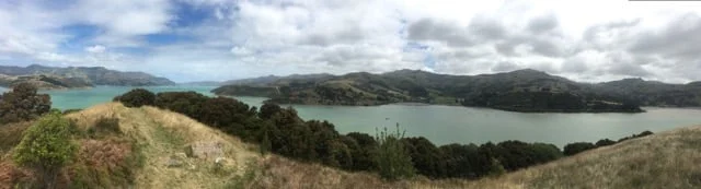 My 'office' view today