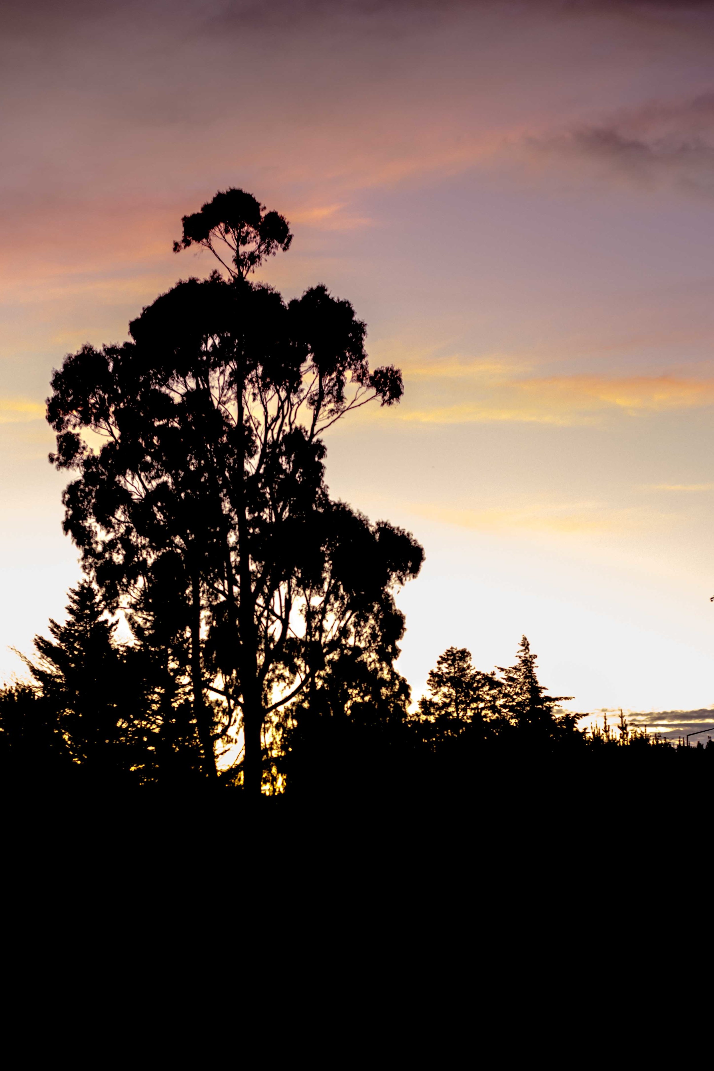 Sunset at Rakaia Campsite