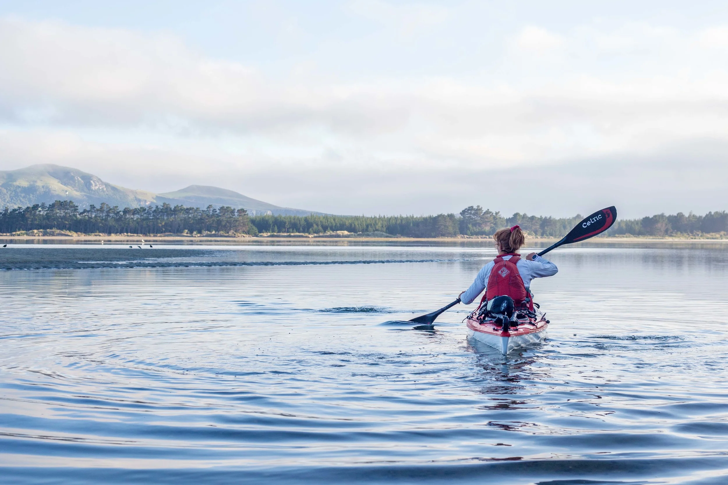 How beautiful was the Otago Peninsular this morning?!