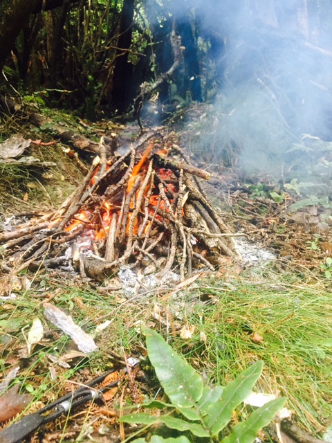 My Fire