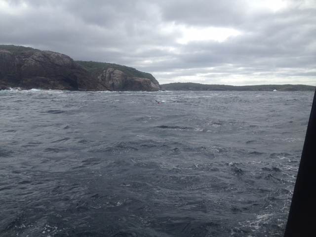Picture of Red battling the waves, taken by Ian from the charter boat.