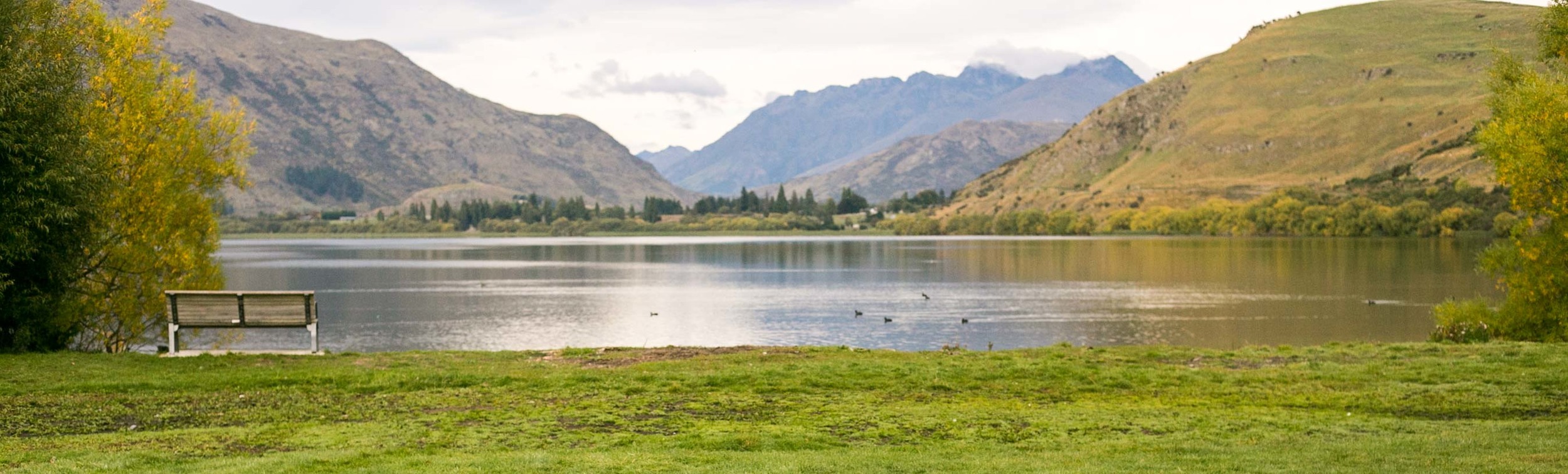 Lake Hayes. Not a bad view to wake up to.