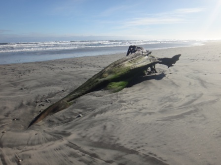 This mornings Beach