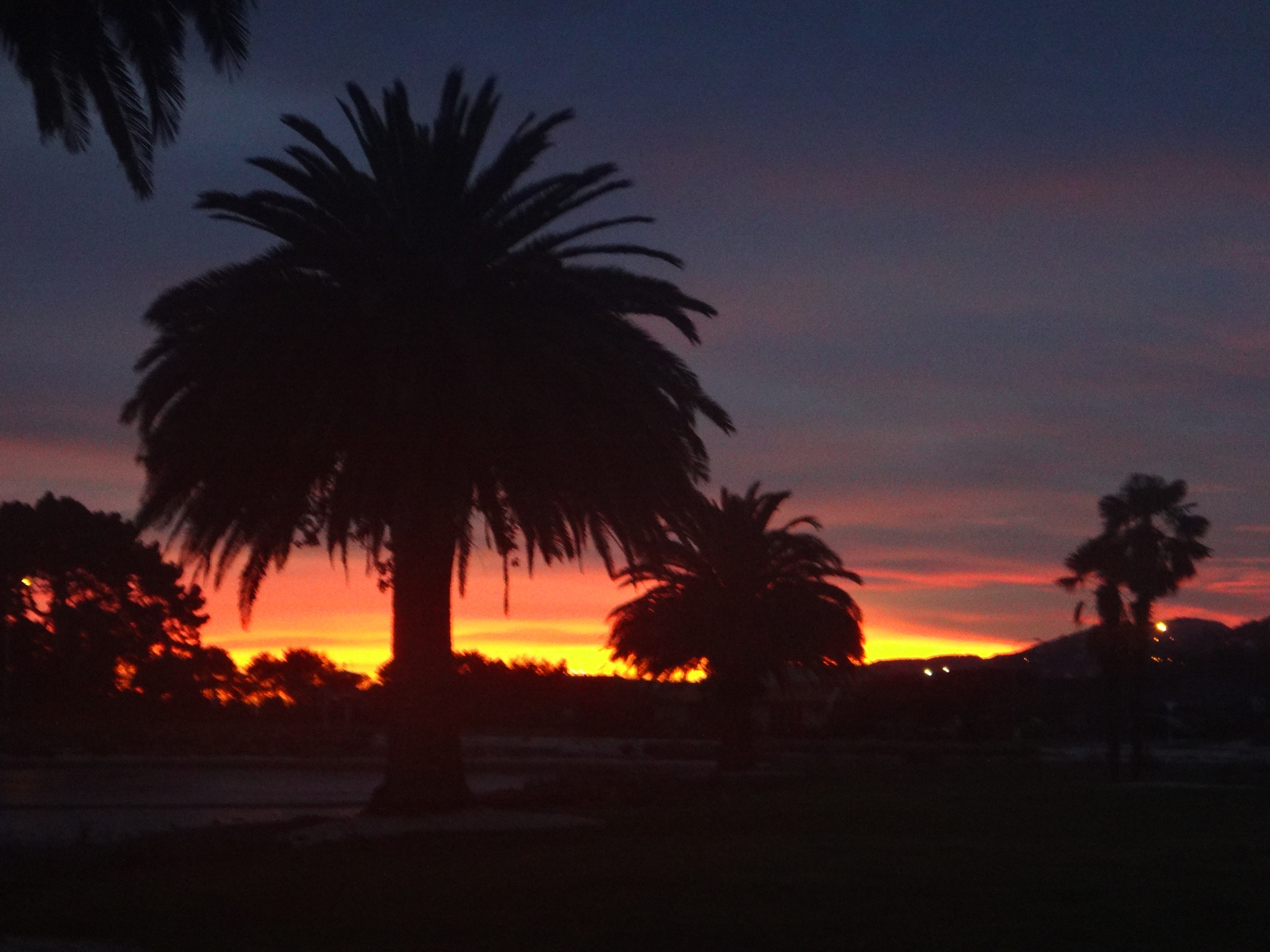 Sunrise in Redz world.