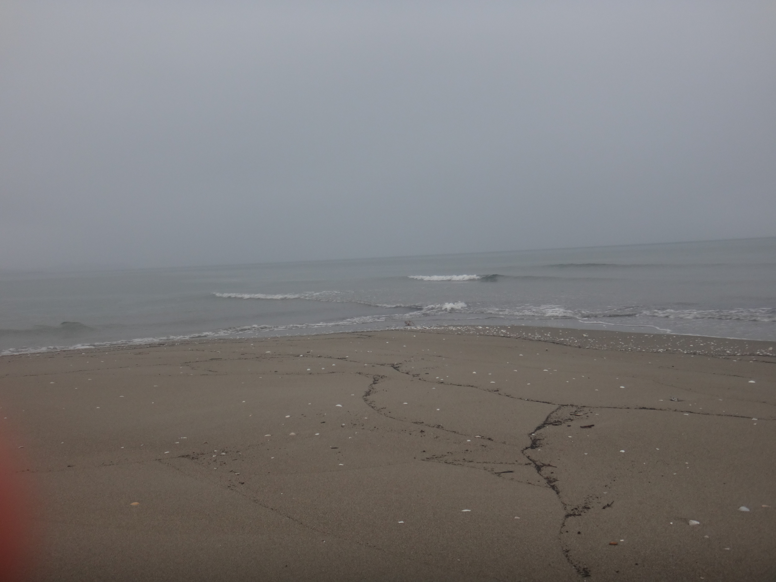Grey Misty Morning.