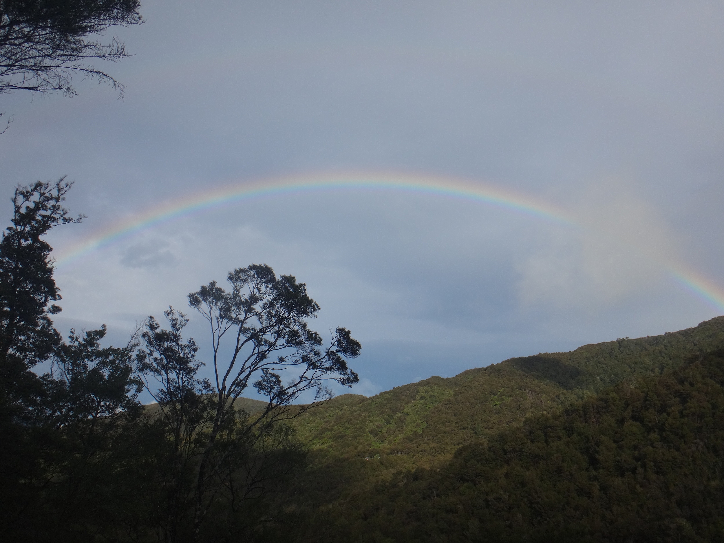 My Rainbow.