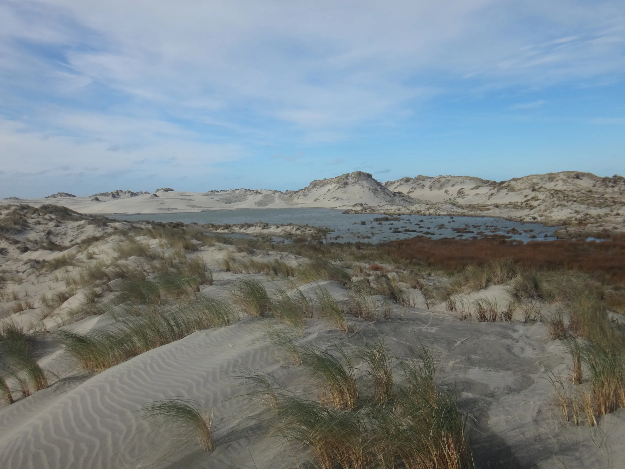 Walking across Farewell Spit.