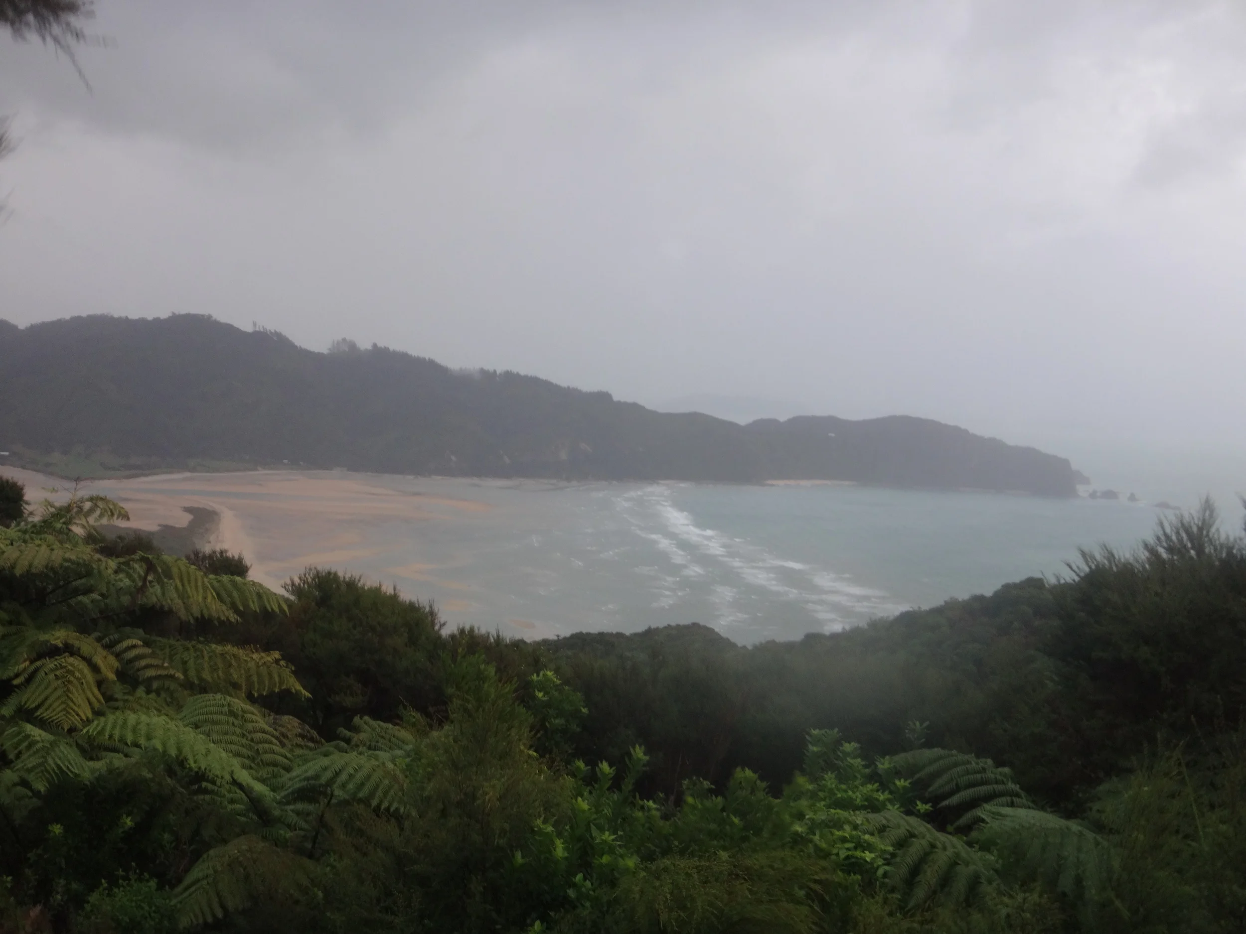 Misty wet day in Wainui Bay.