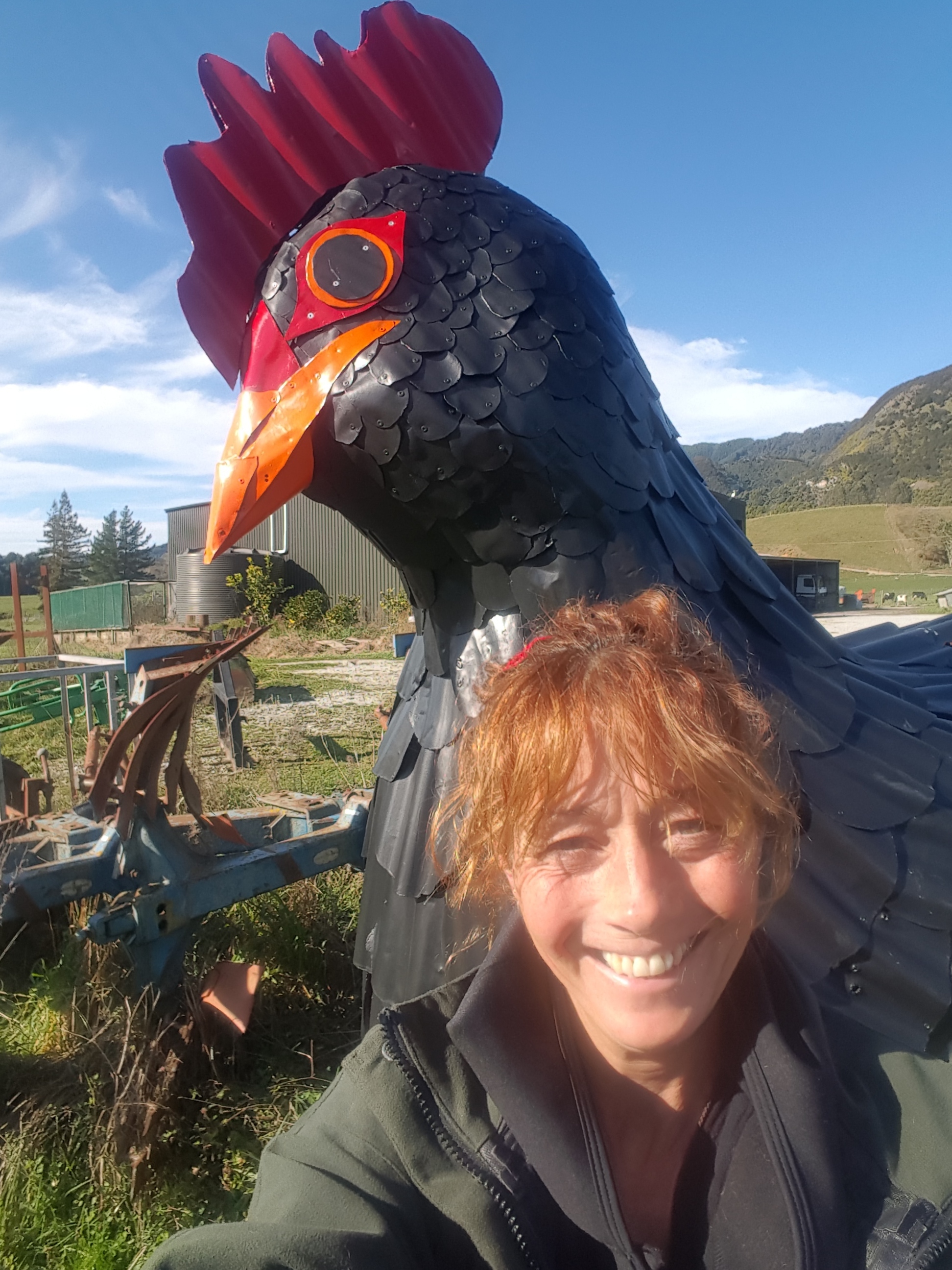 Crazy chickens' house.