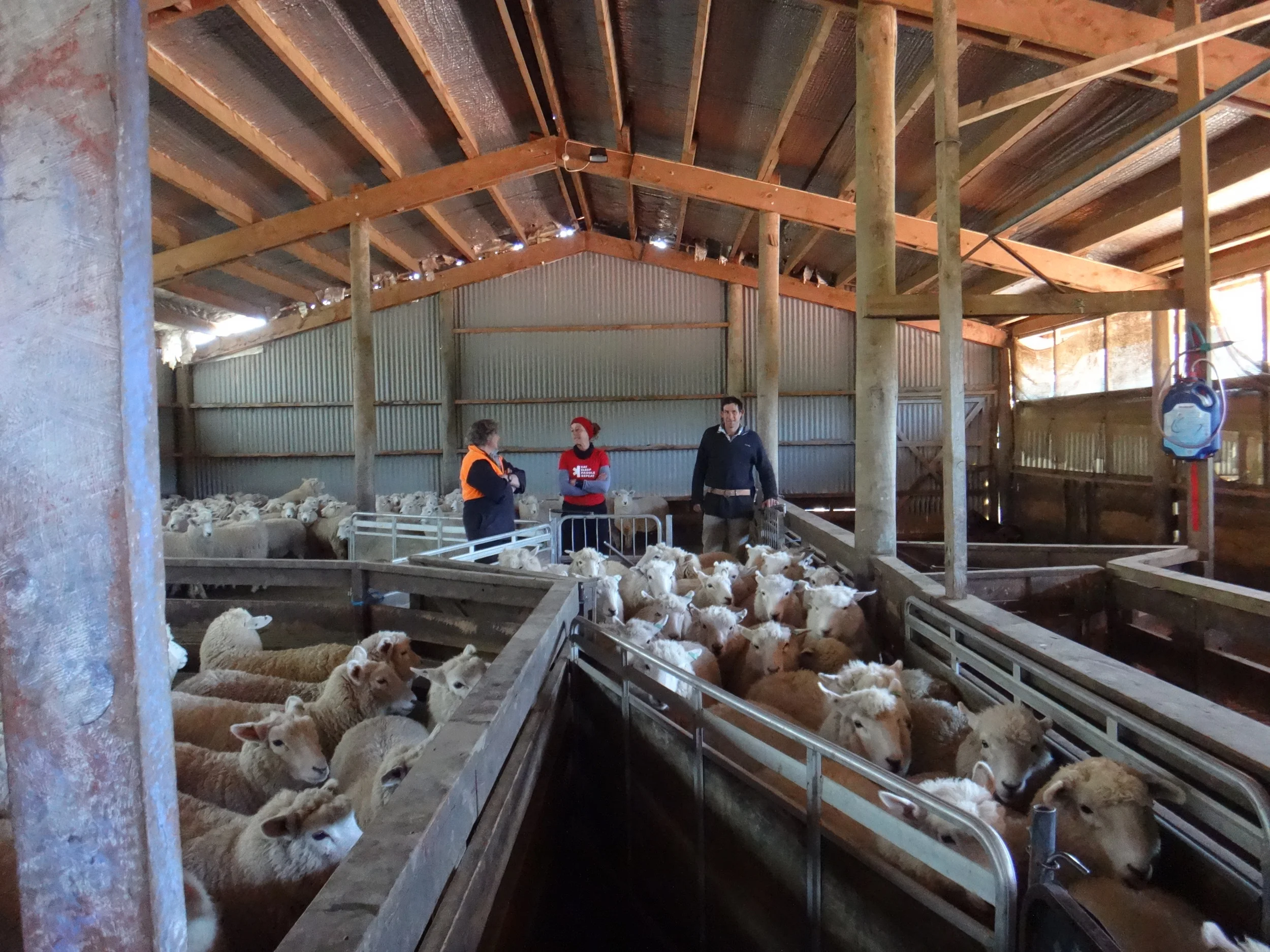 Working day on the farm to say thank you.