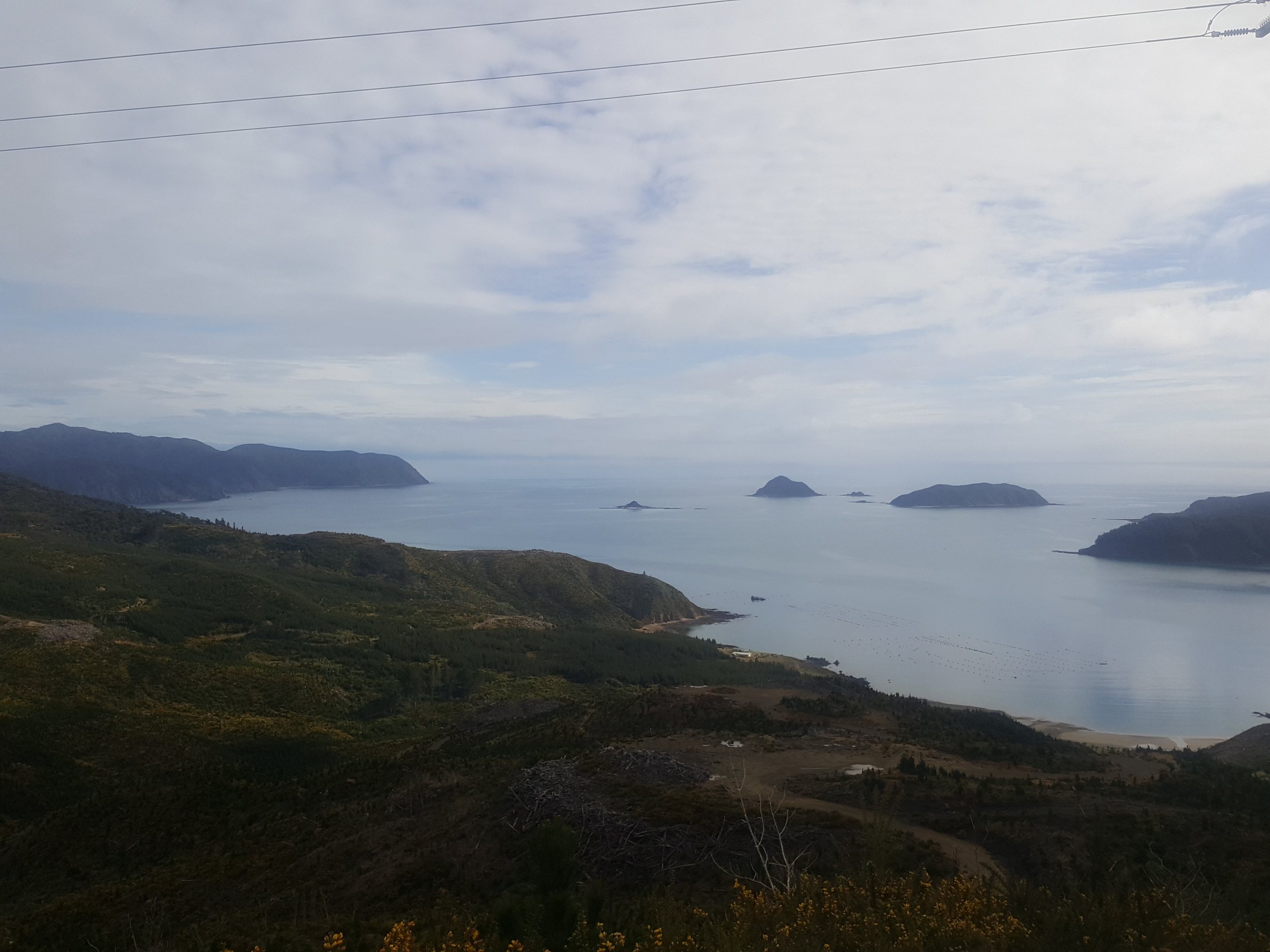 French Pass.