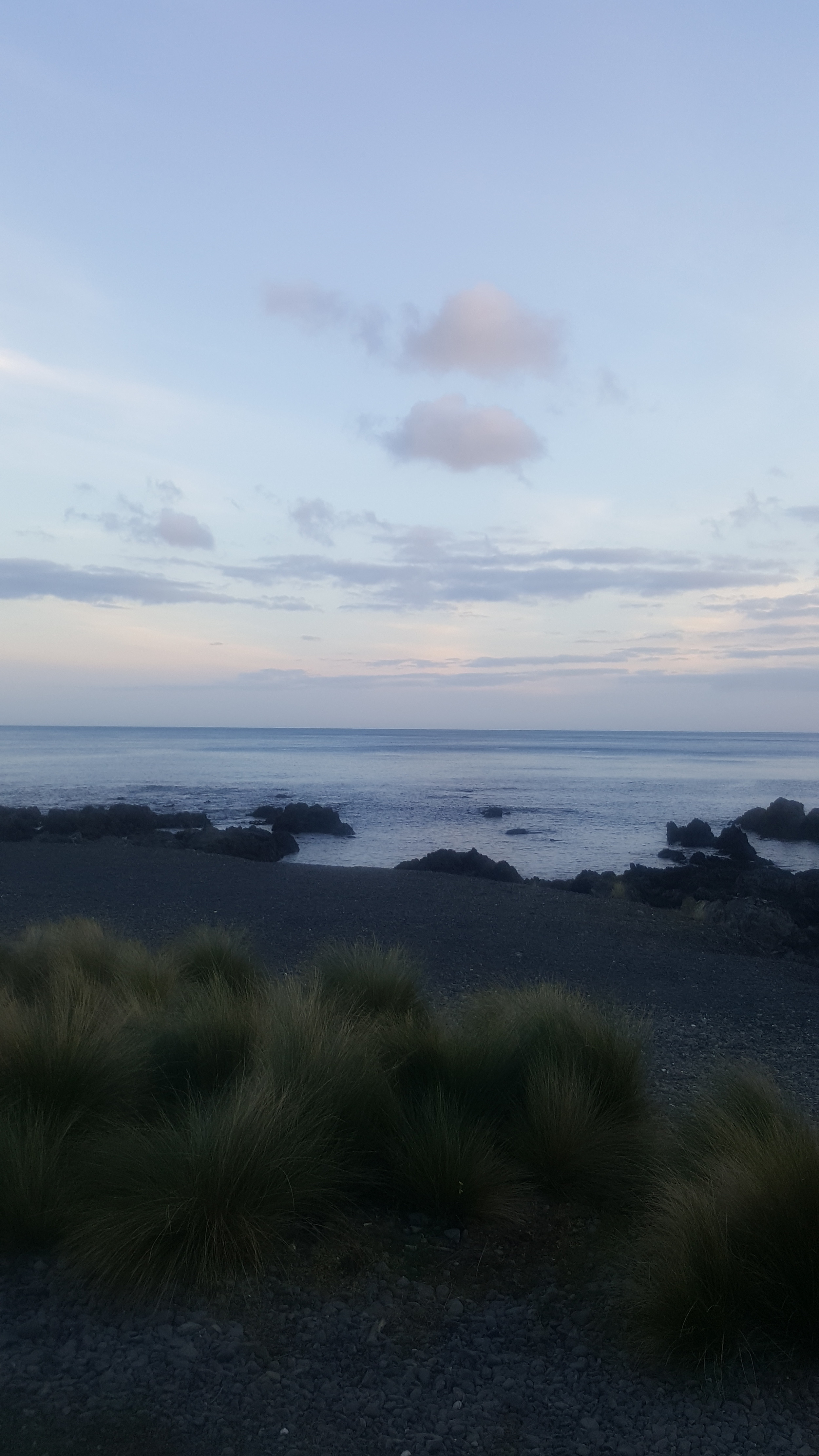 Morning view.