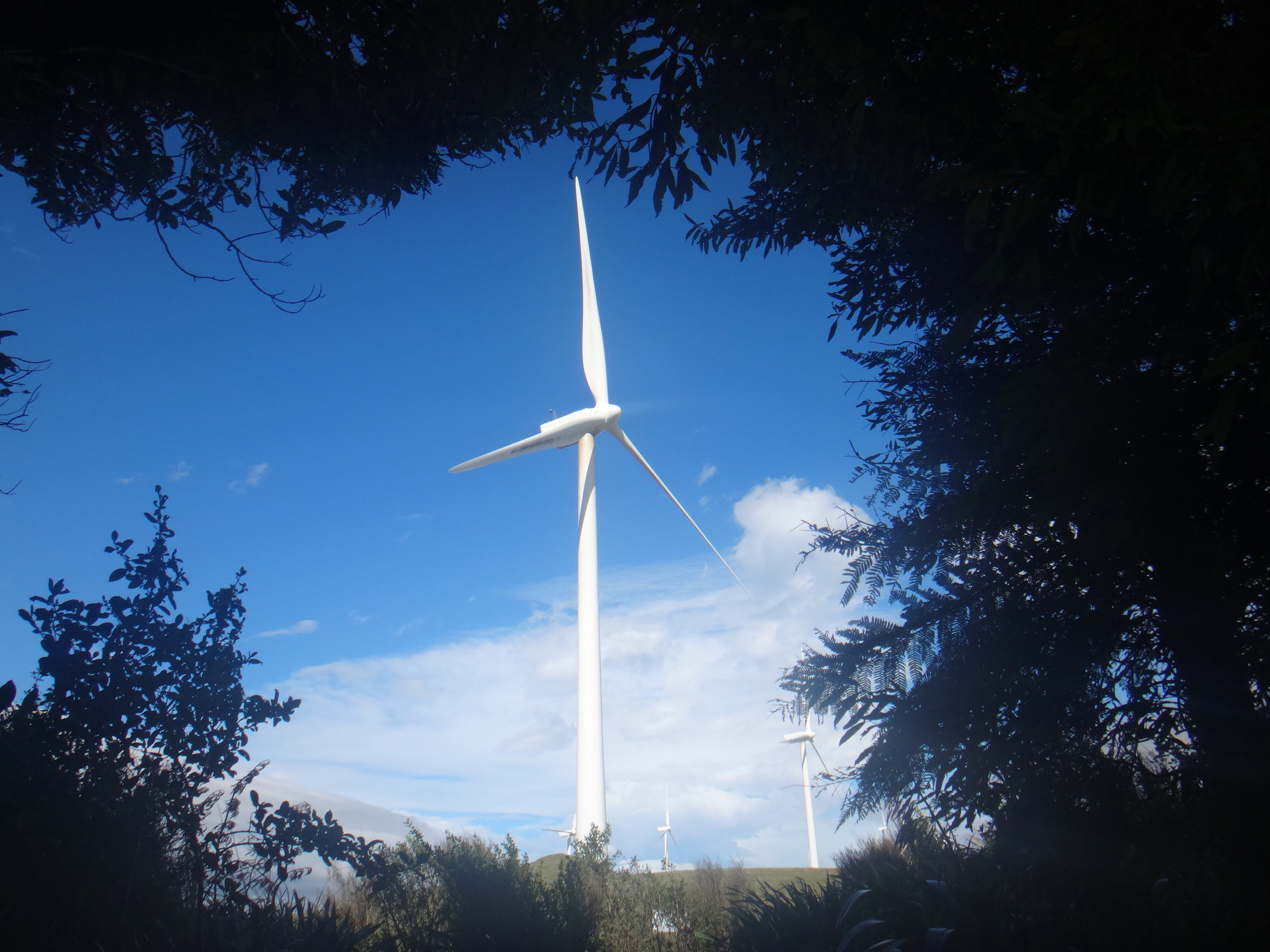 Windmills. Huge and amazing.