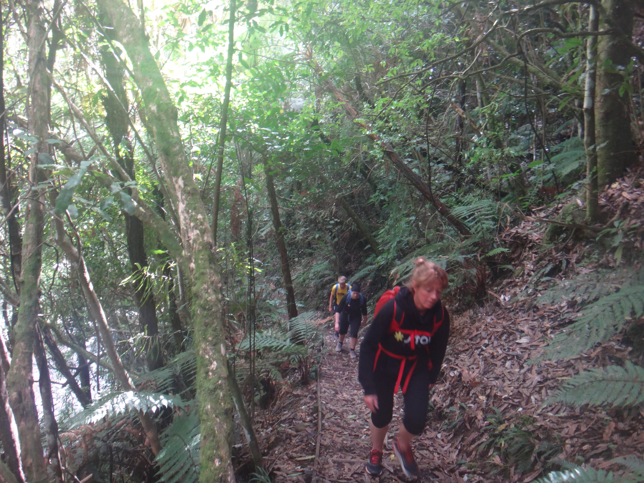 Hiking the Sledge Track.