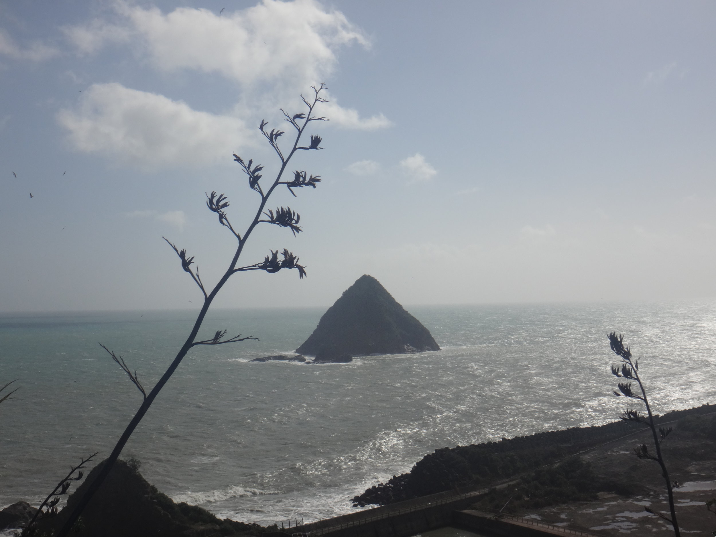 The ocean. Sugar Loaf Islands.