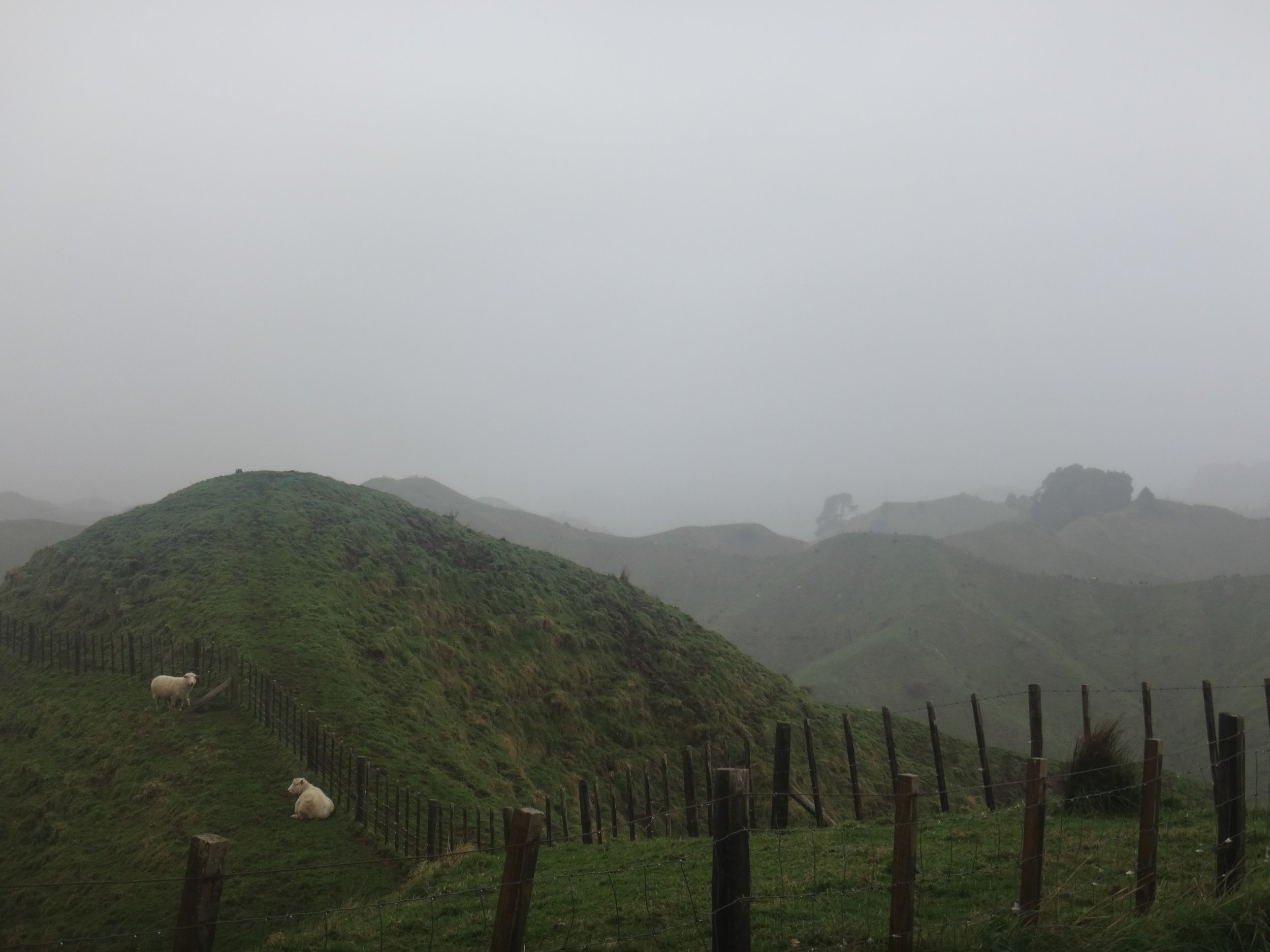 The mist covered hills of the Forgotten Highway.