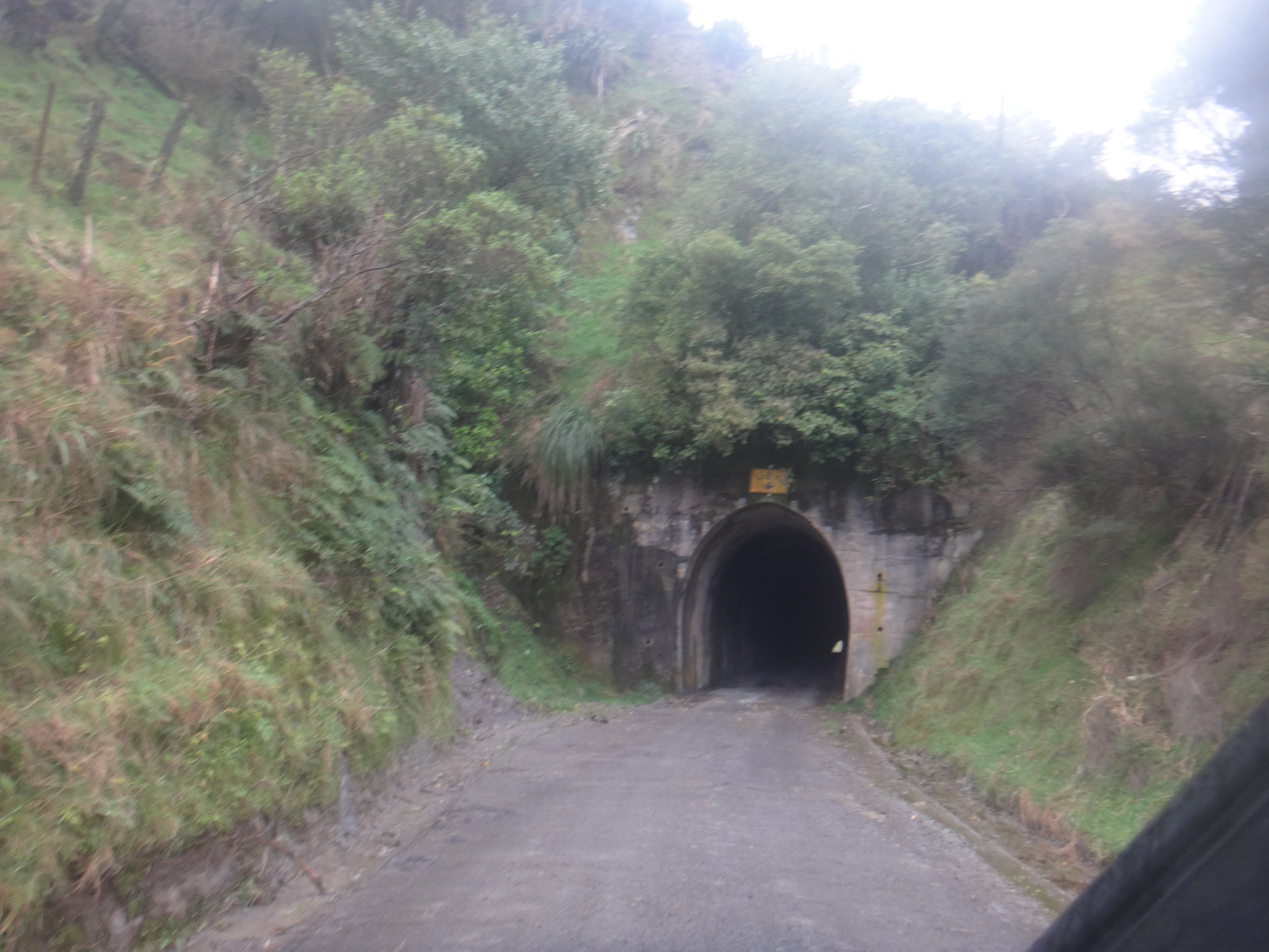 The amazing carved tunnel.