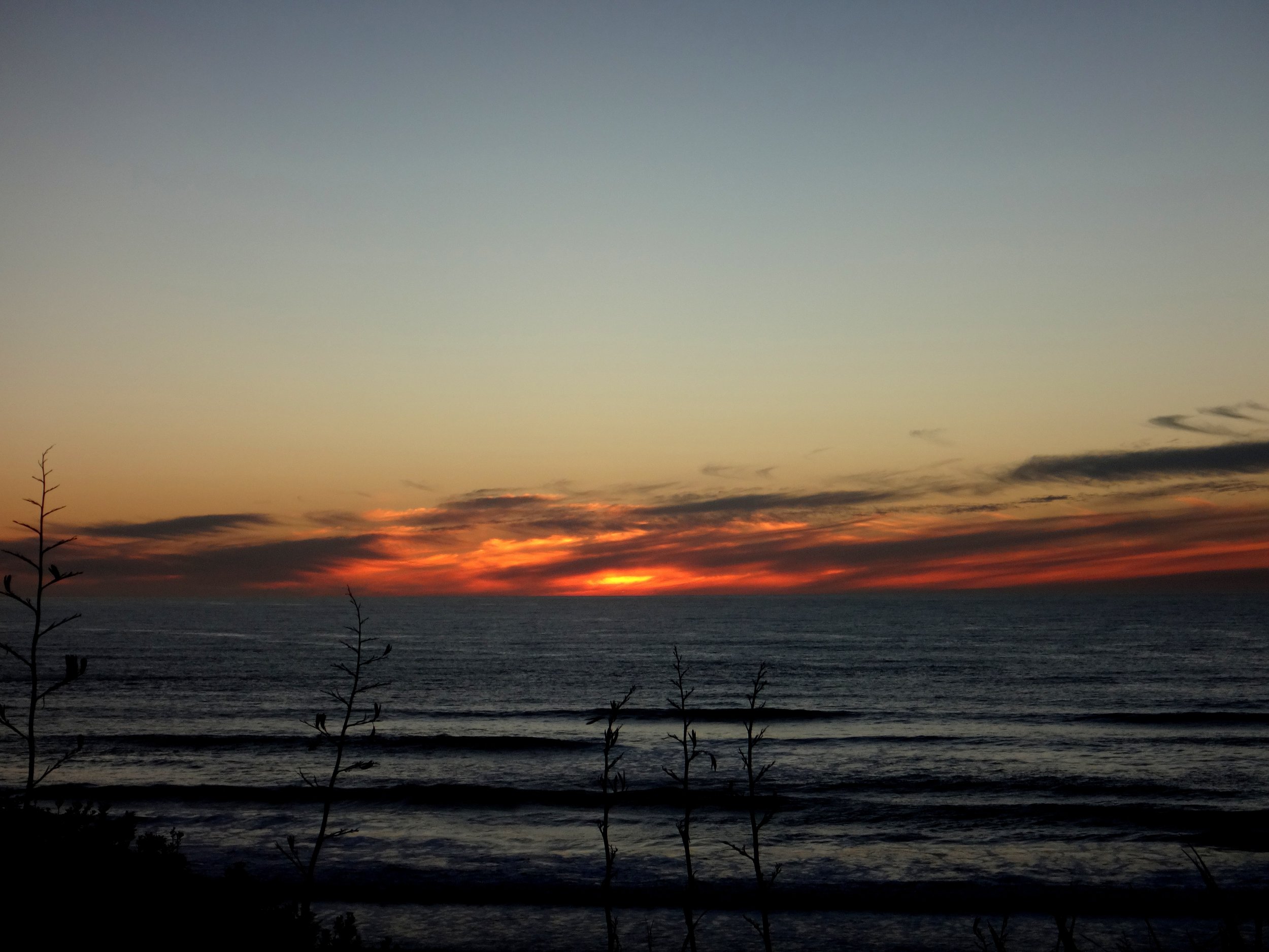 West Coast never disappoints.