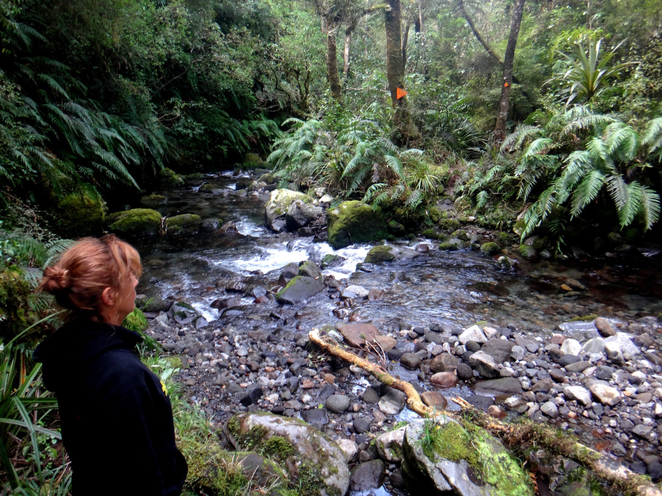 Red contemplating the first creek crossing.
