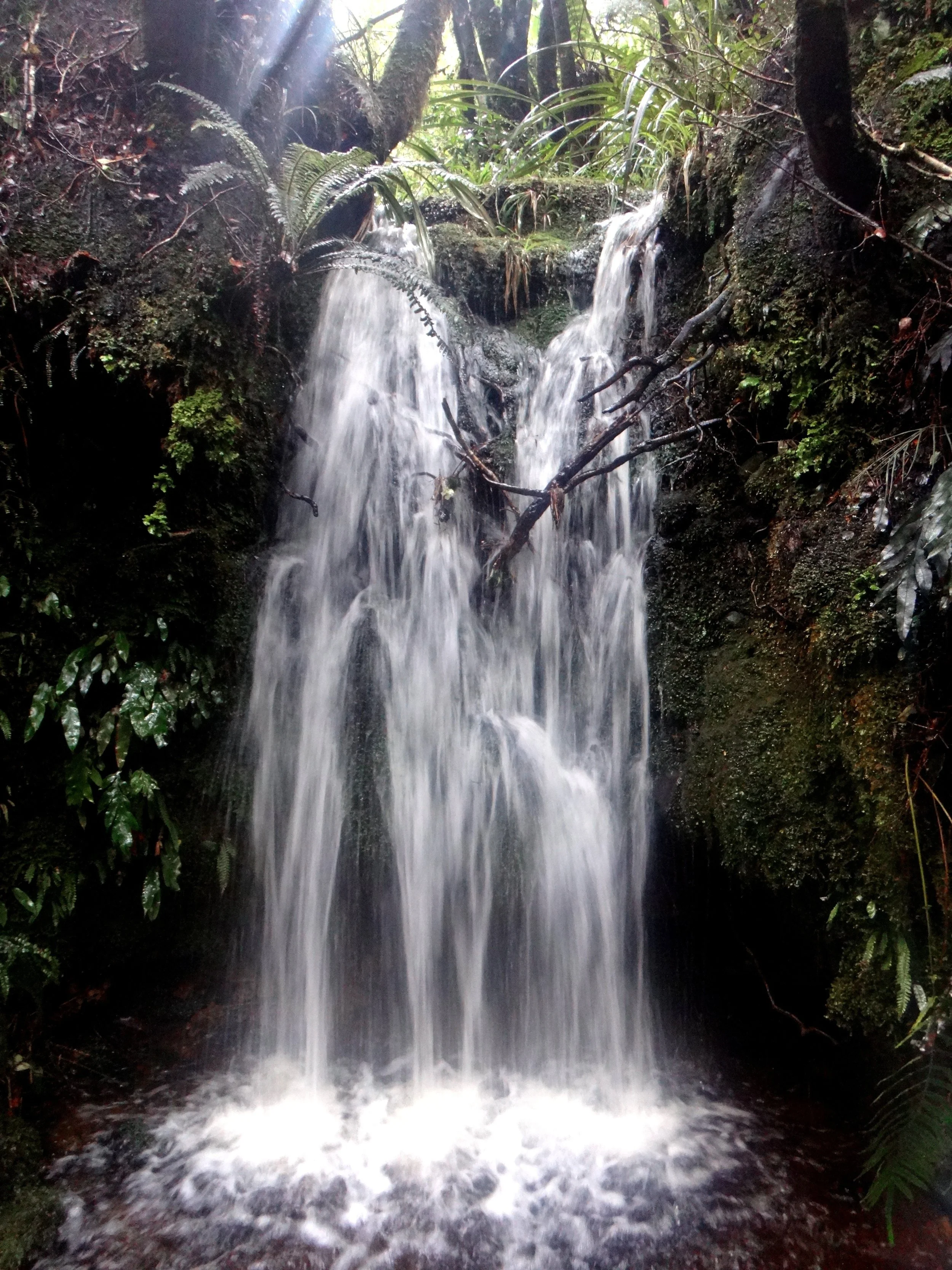 Another walk, another waterfall!