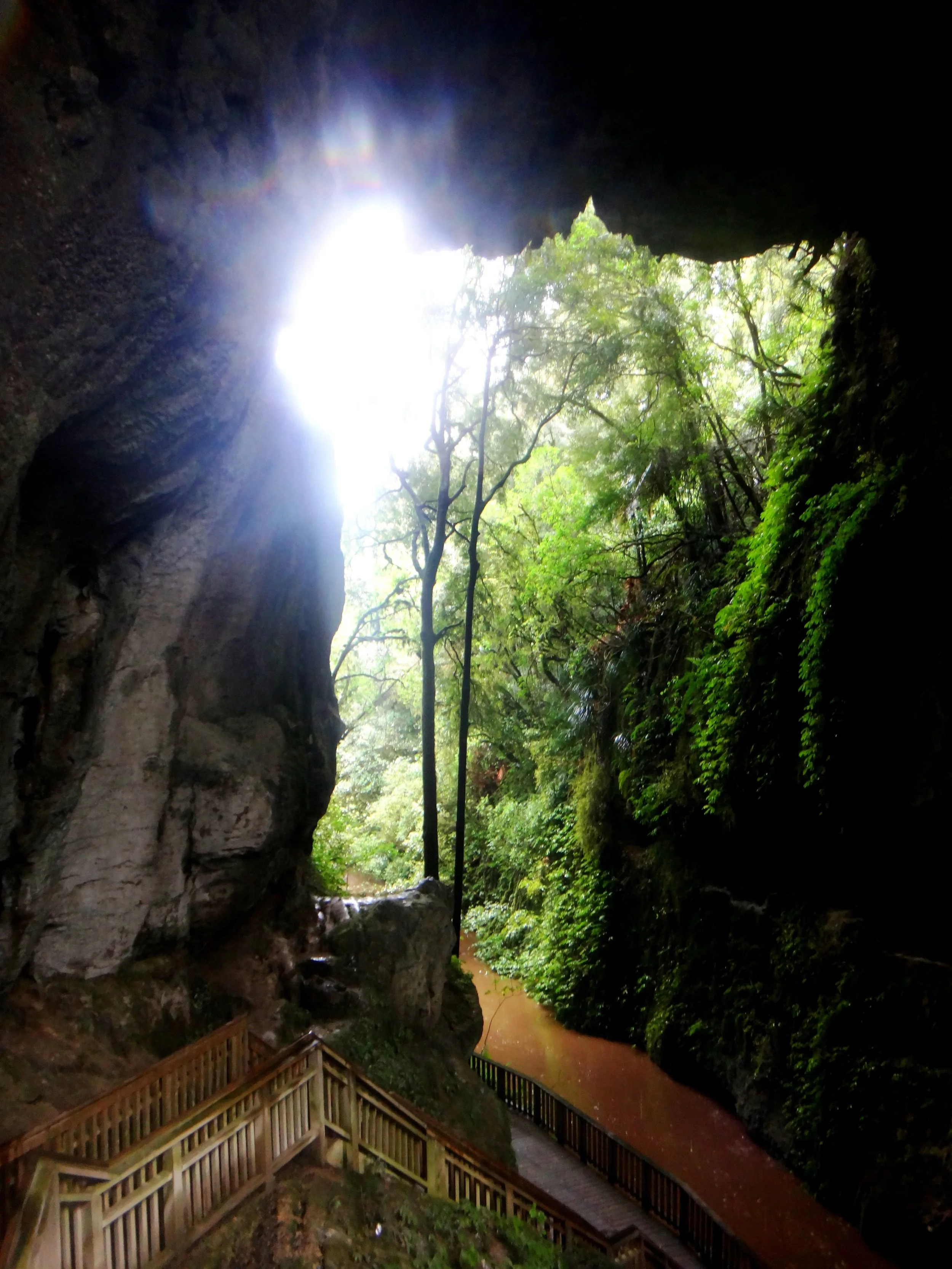 Mangapohue Natural Bridge.