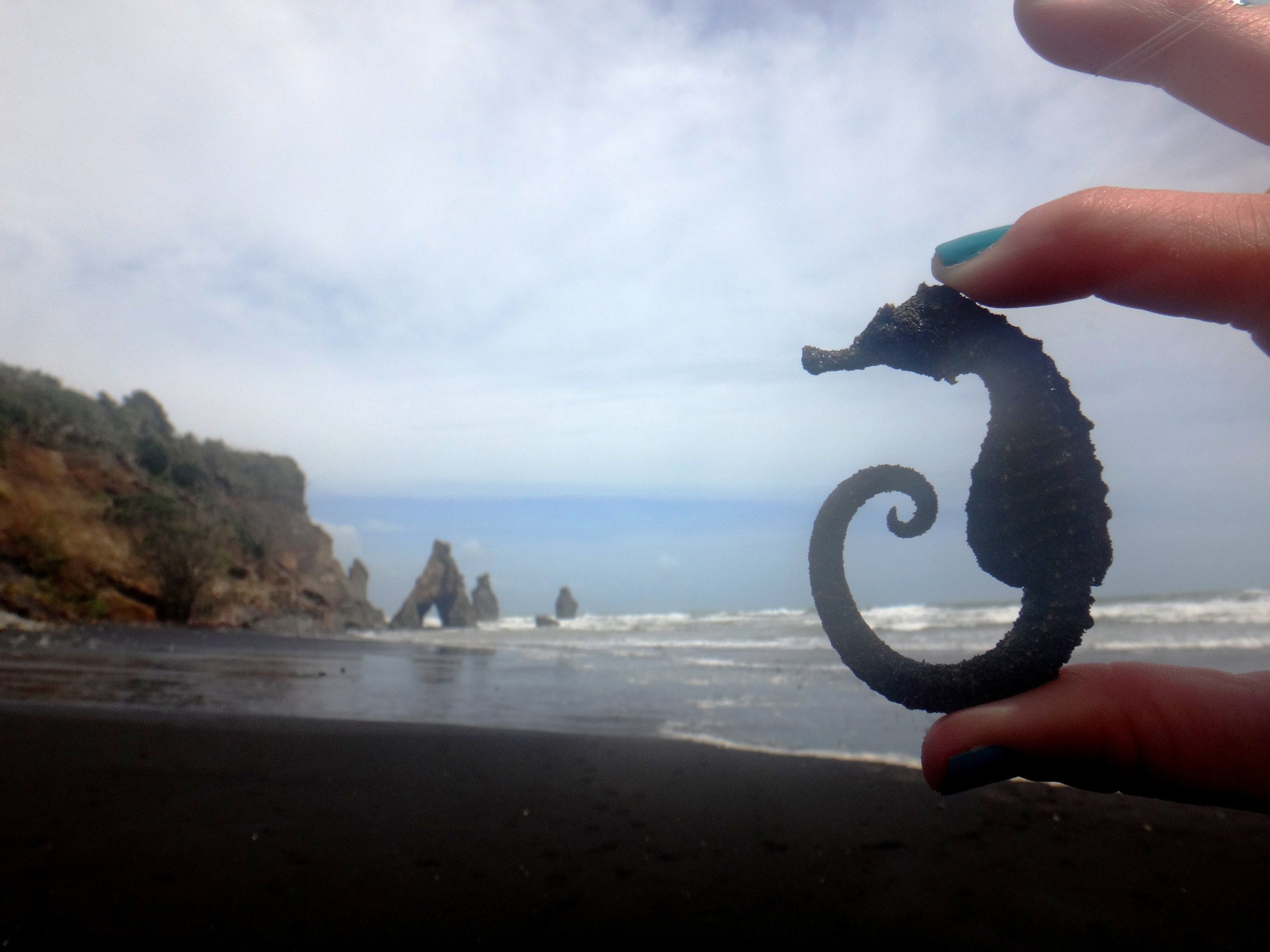 The Three Sisters featuring Anna's seahorse.
