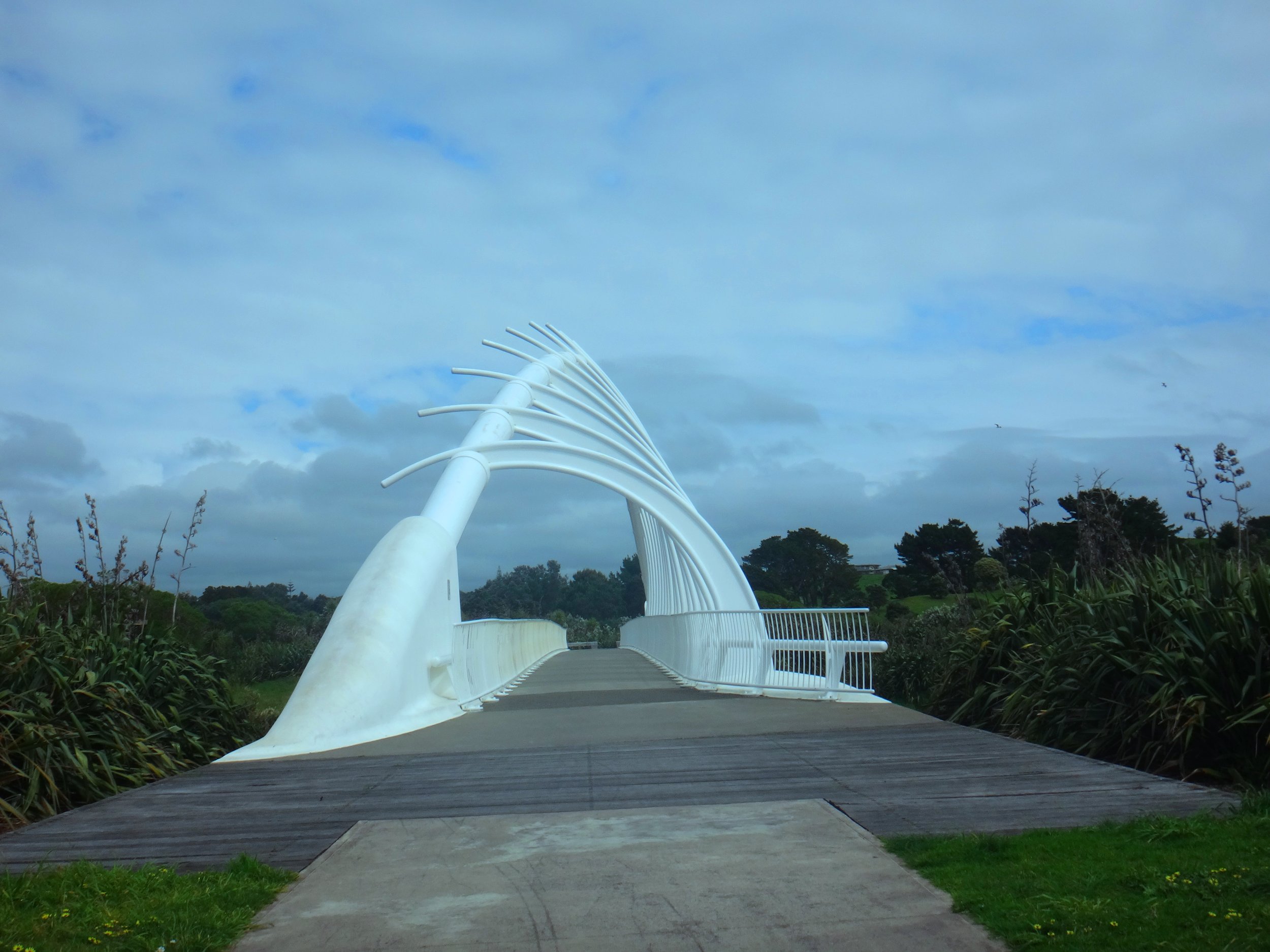 When you visit New Plymouth this bridge is a must see.