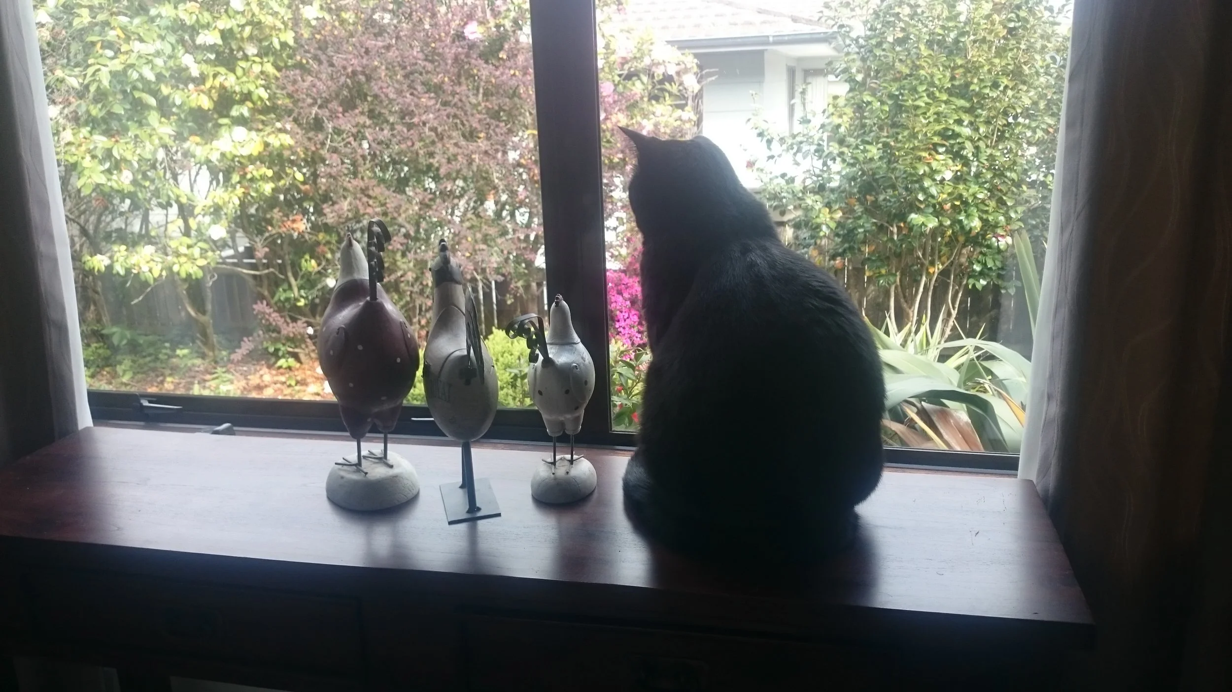 Bennie the cat.