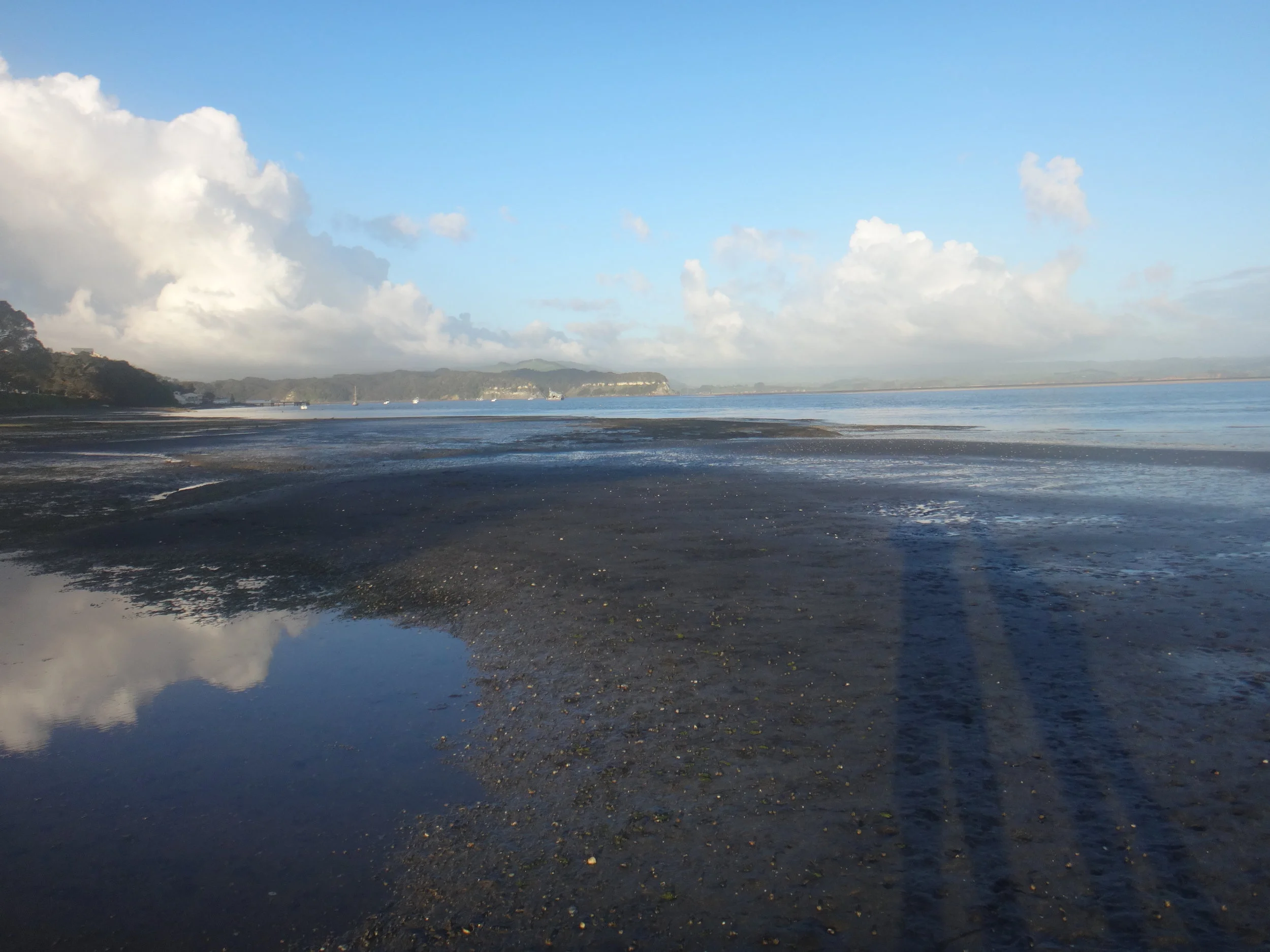 Kawhia Harbour.