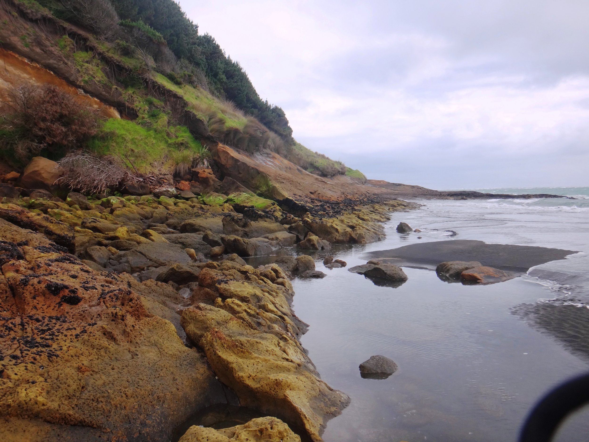 Aotea Harbour Cliffs.