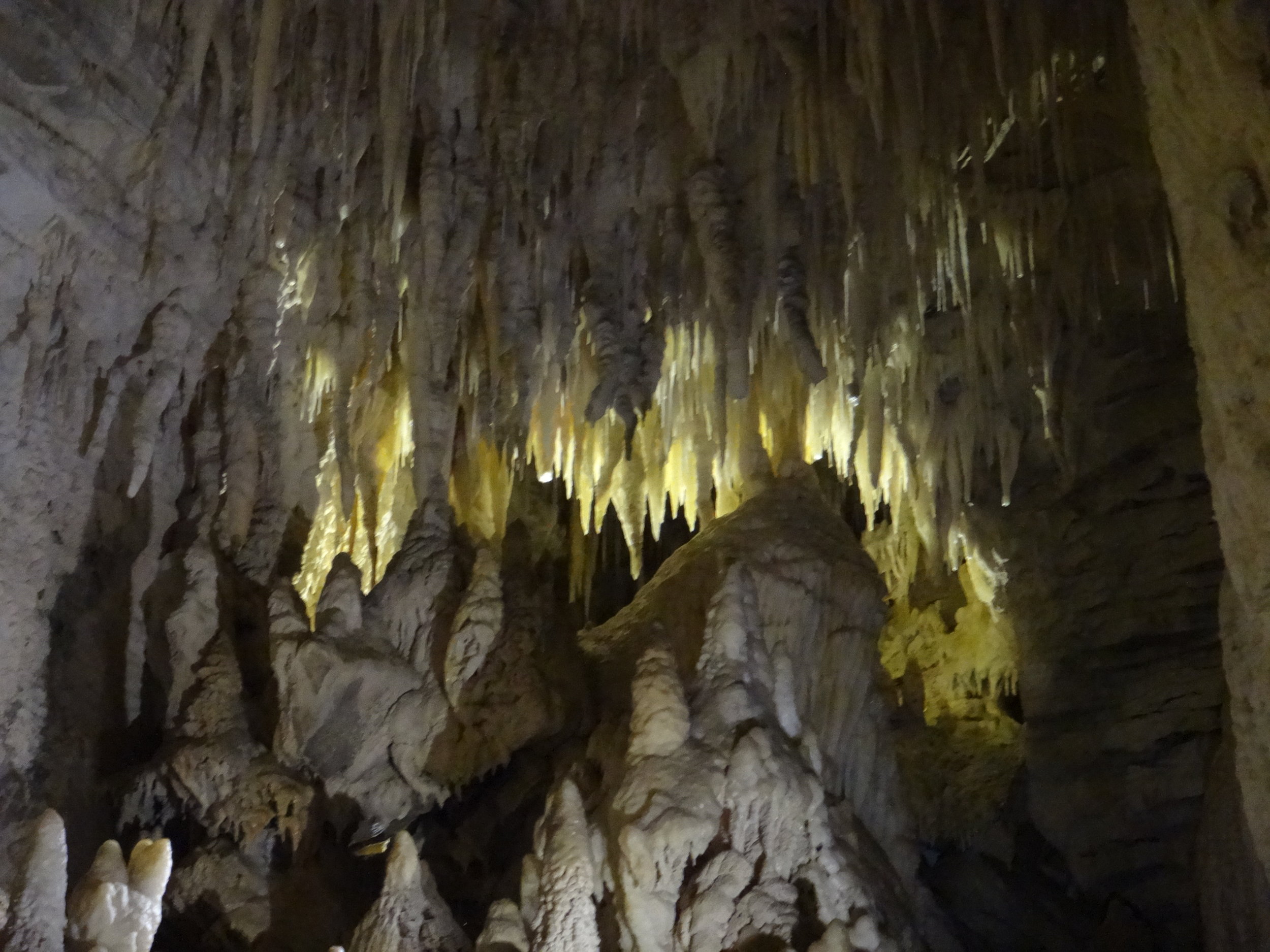 Ruakuri Cave.