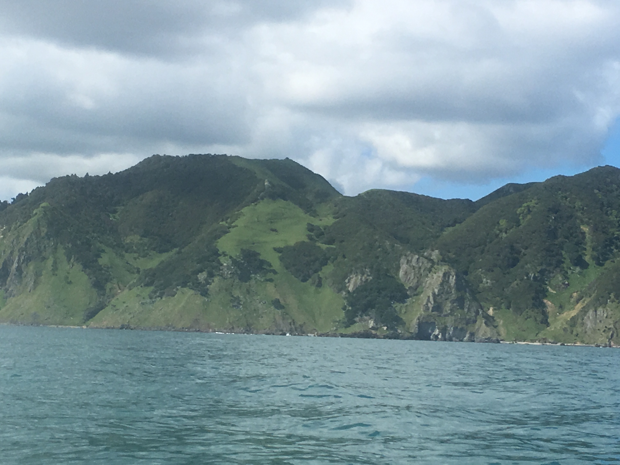 Outside of the Kawhia Harbour