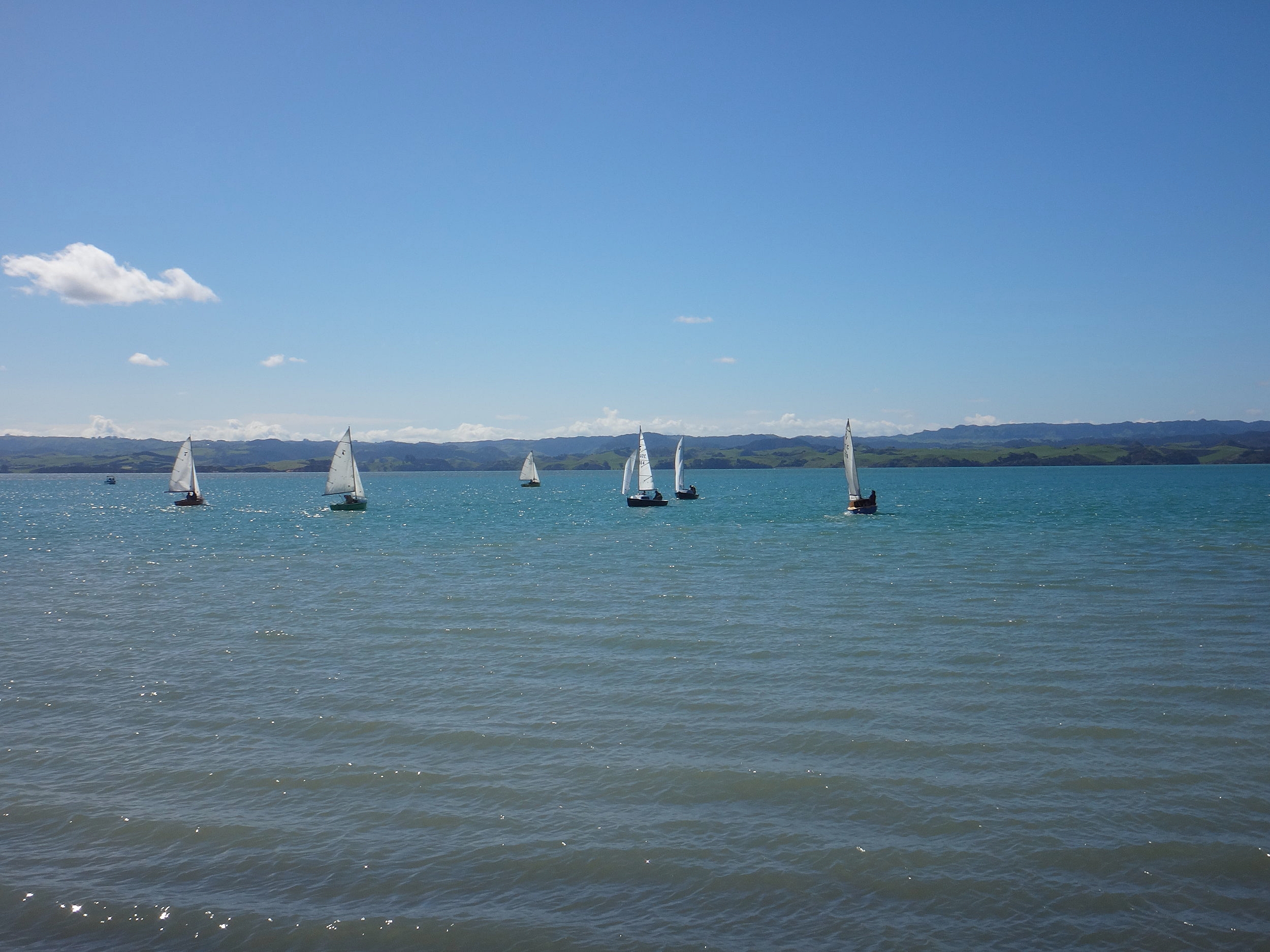 Kawhia Harbour Boat Racing
