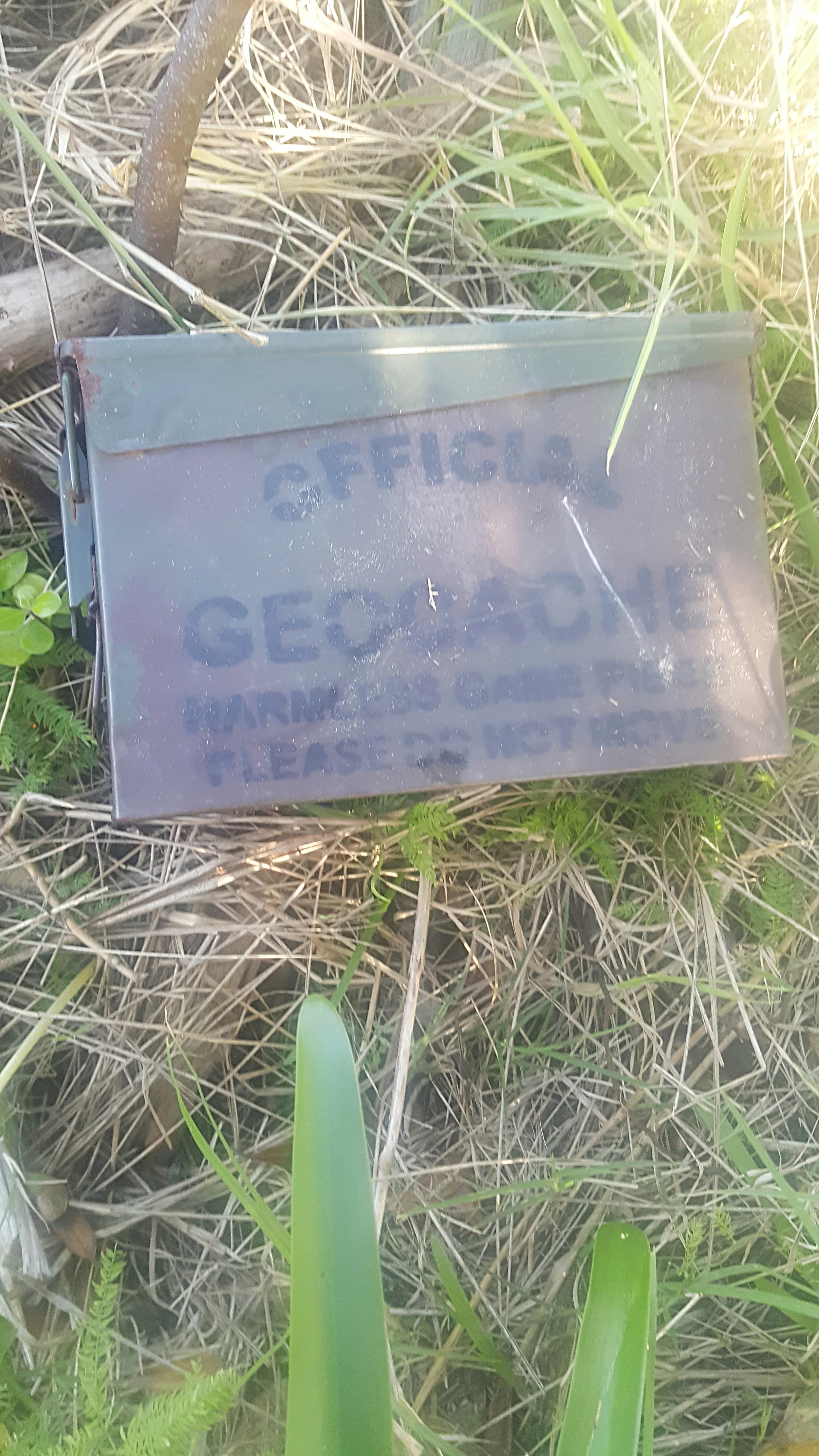 GeoCache located.