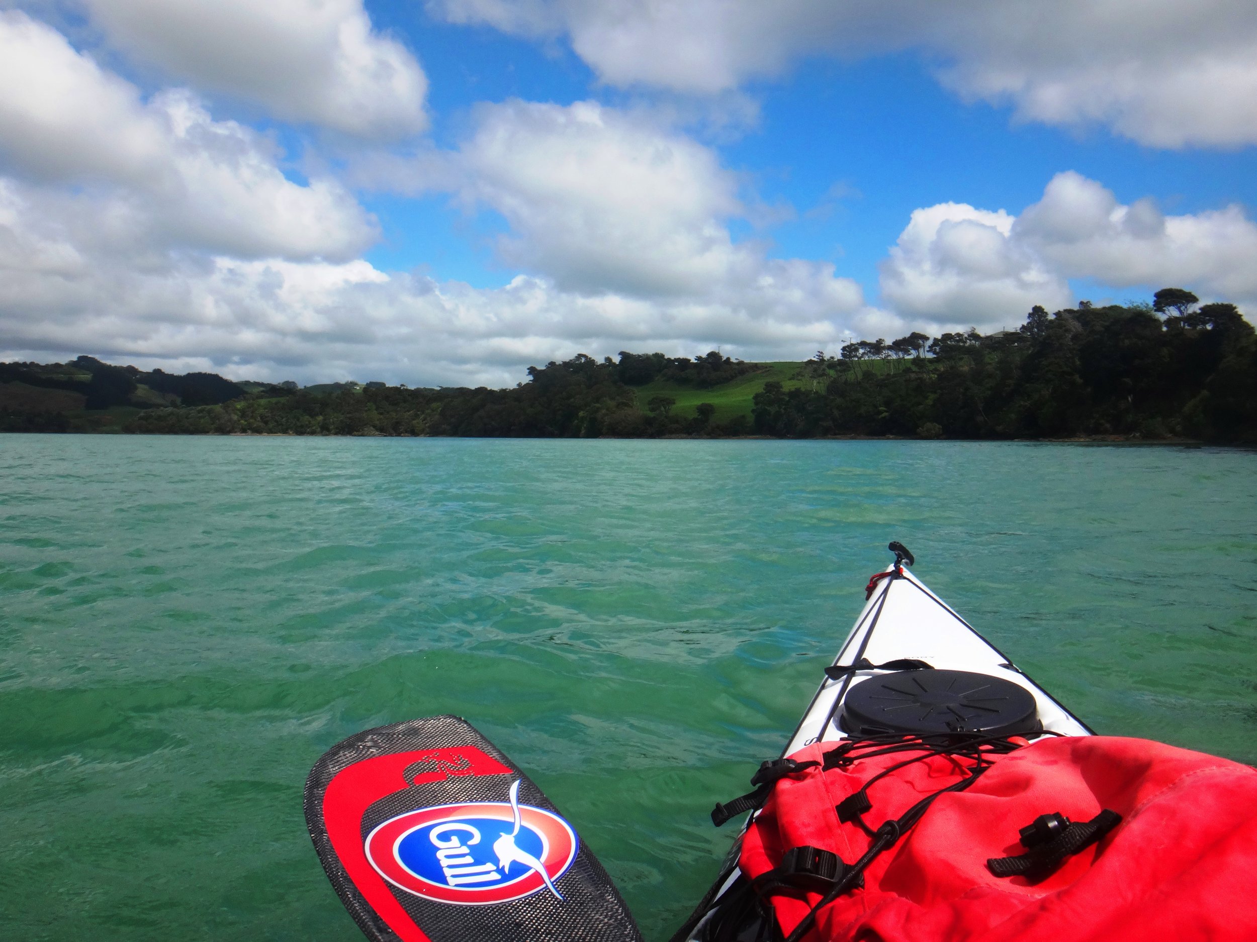 Raglan Harbour.