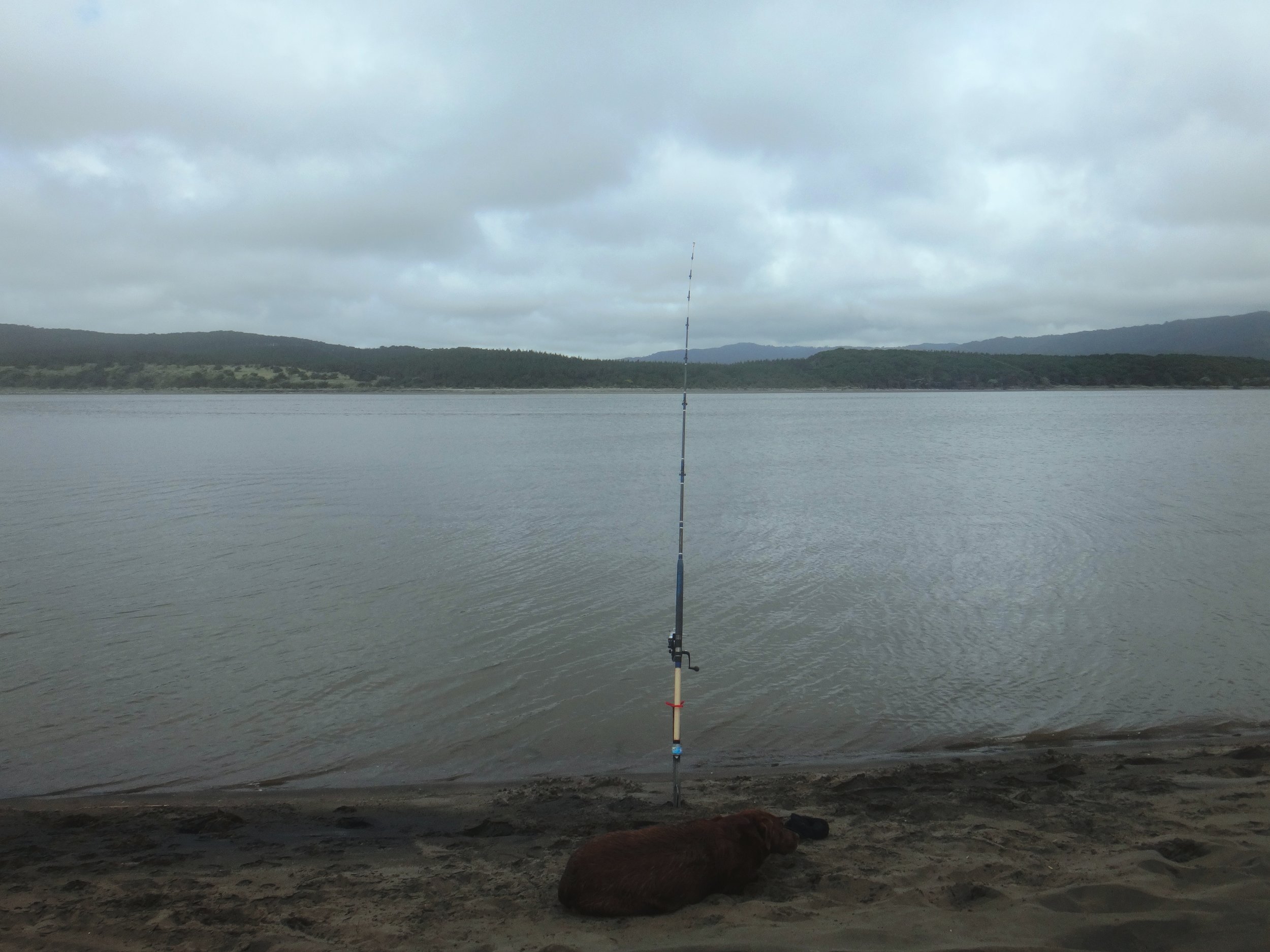 Fishing, Port Waikato style.