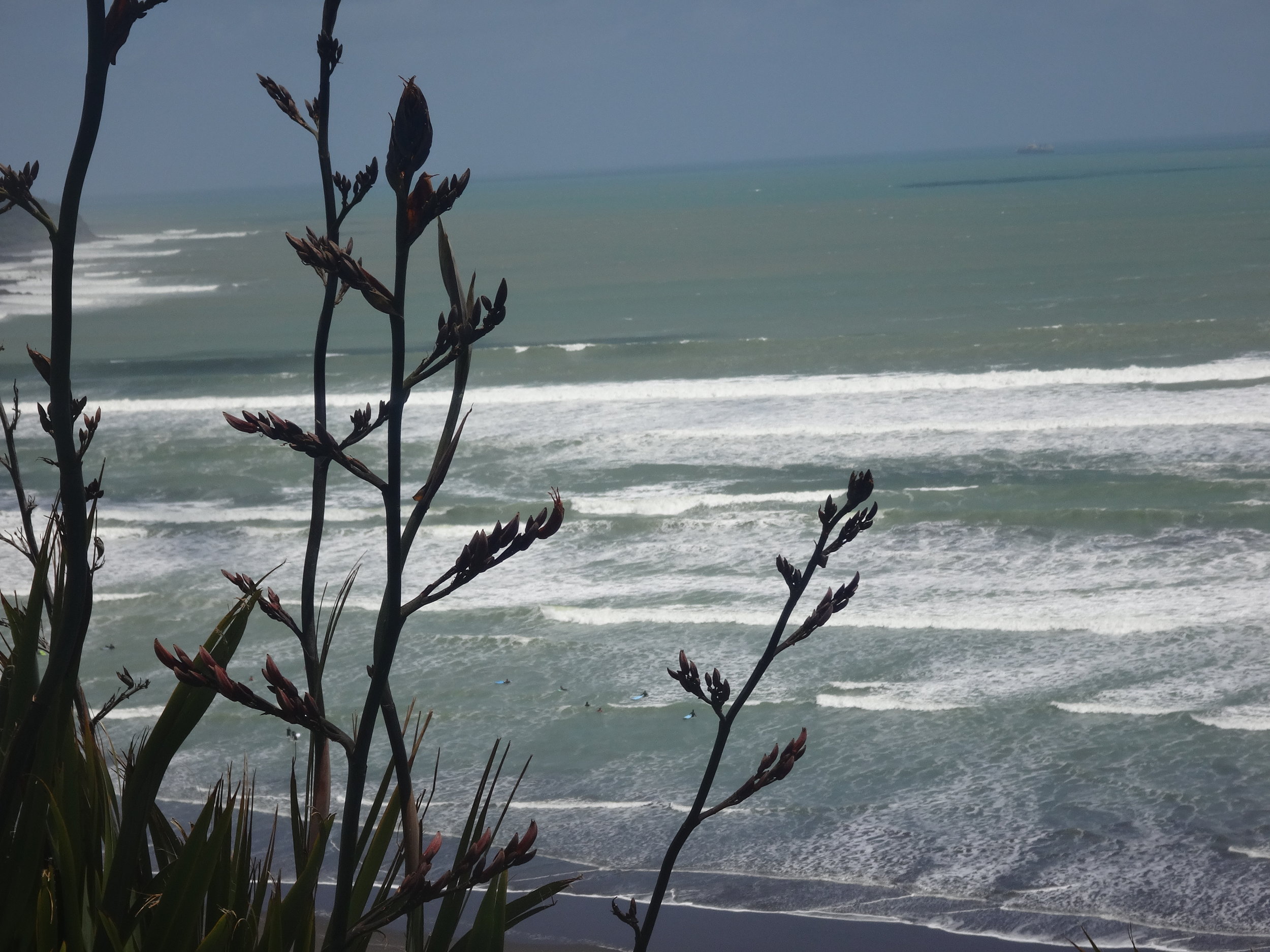 The Raglan Ocean.