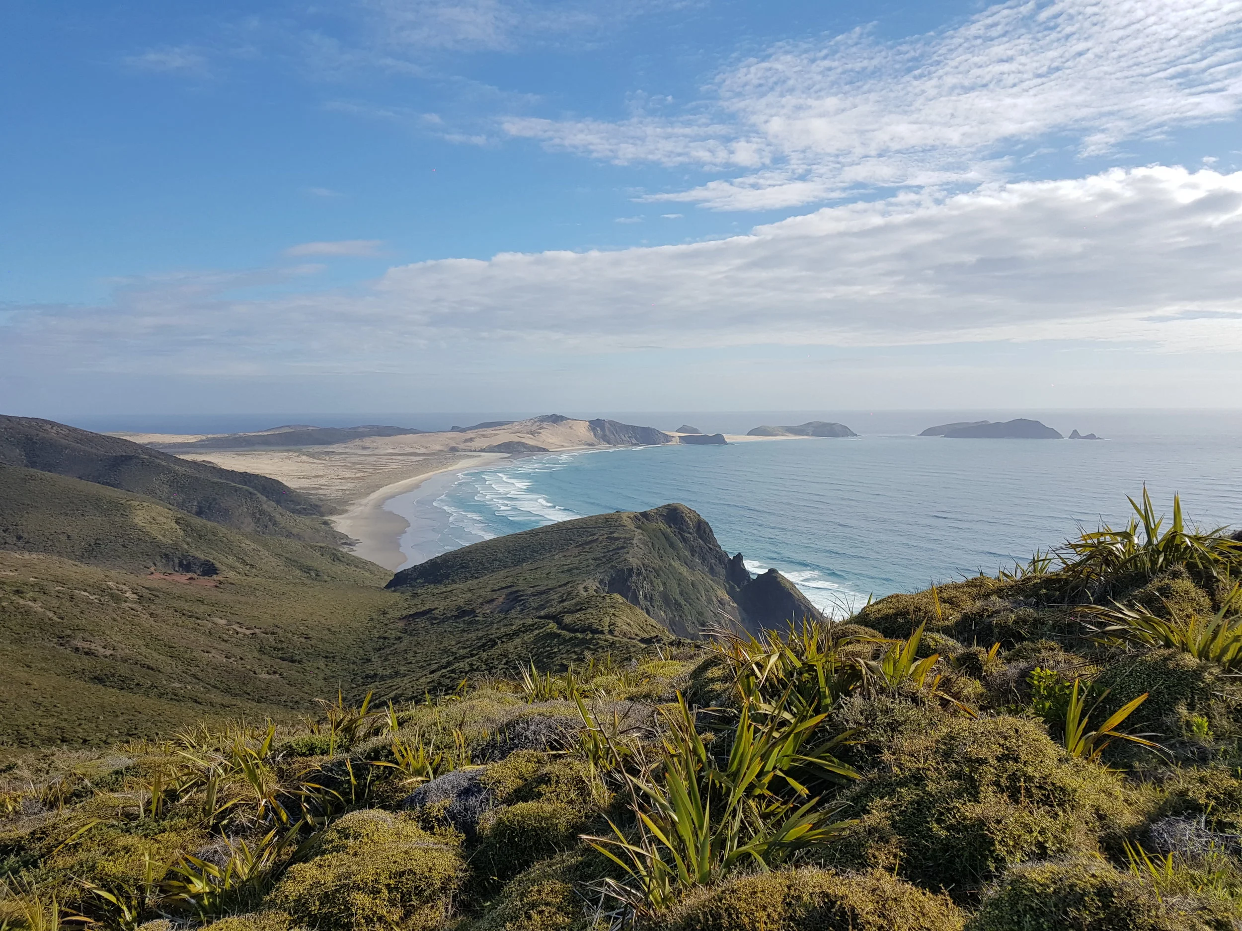 View towards Cape Maria van Diemen.