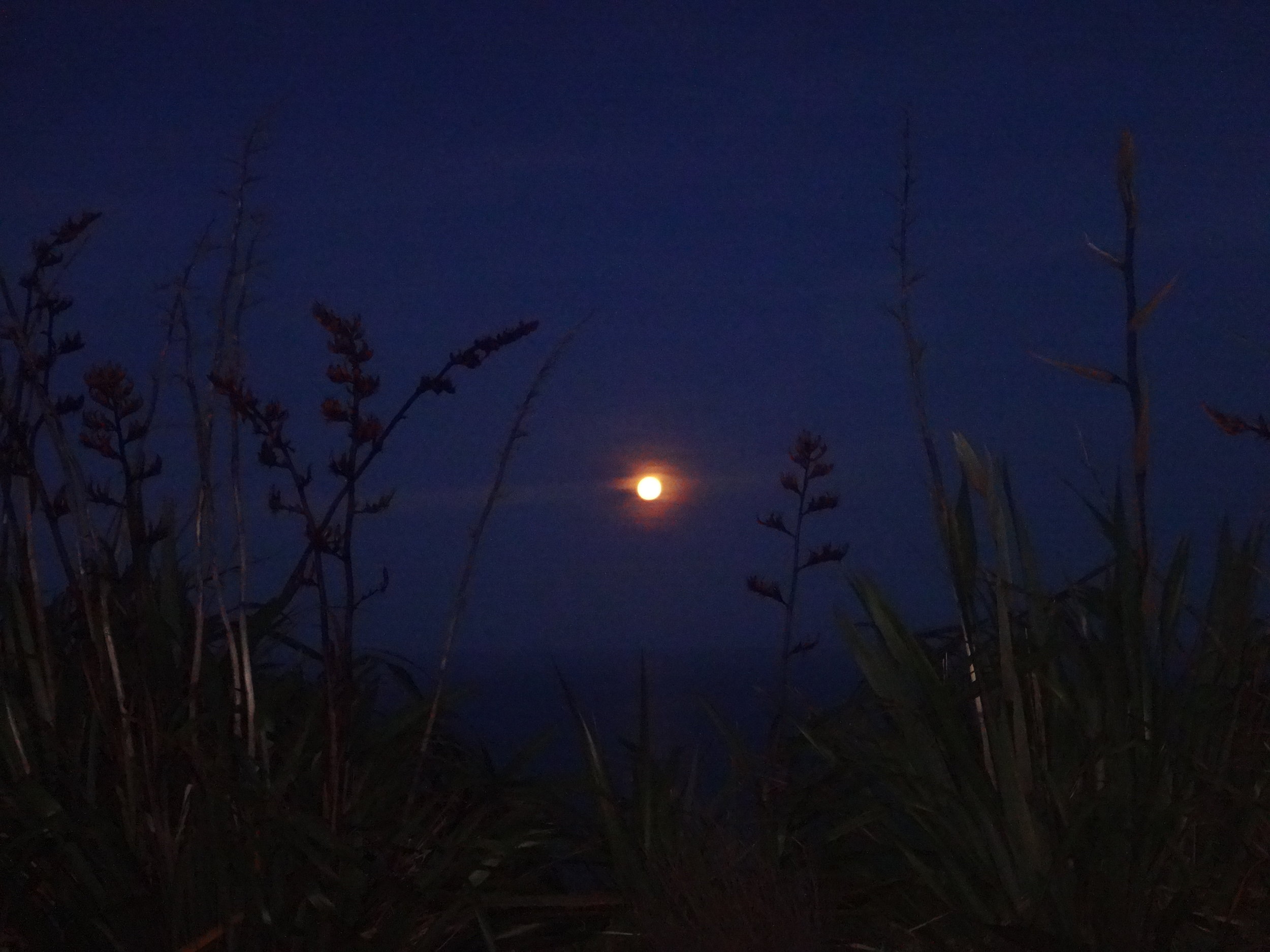 "Hi" to the moon from the East Coast.