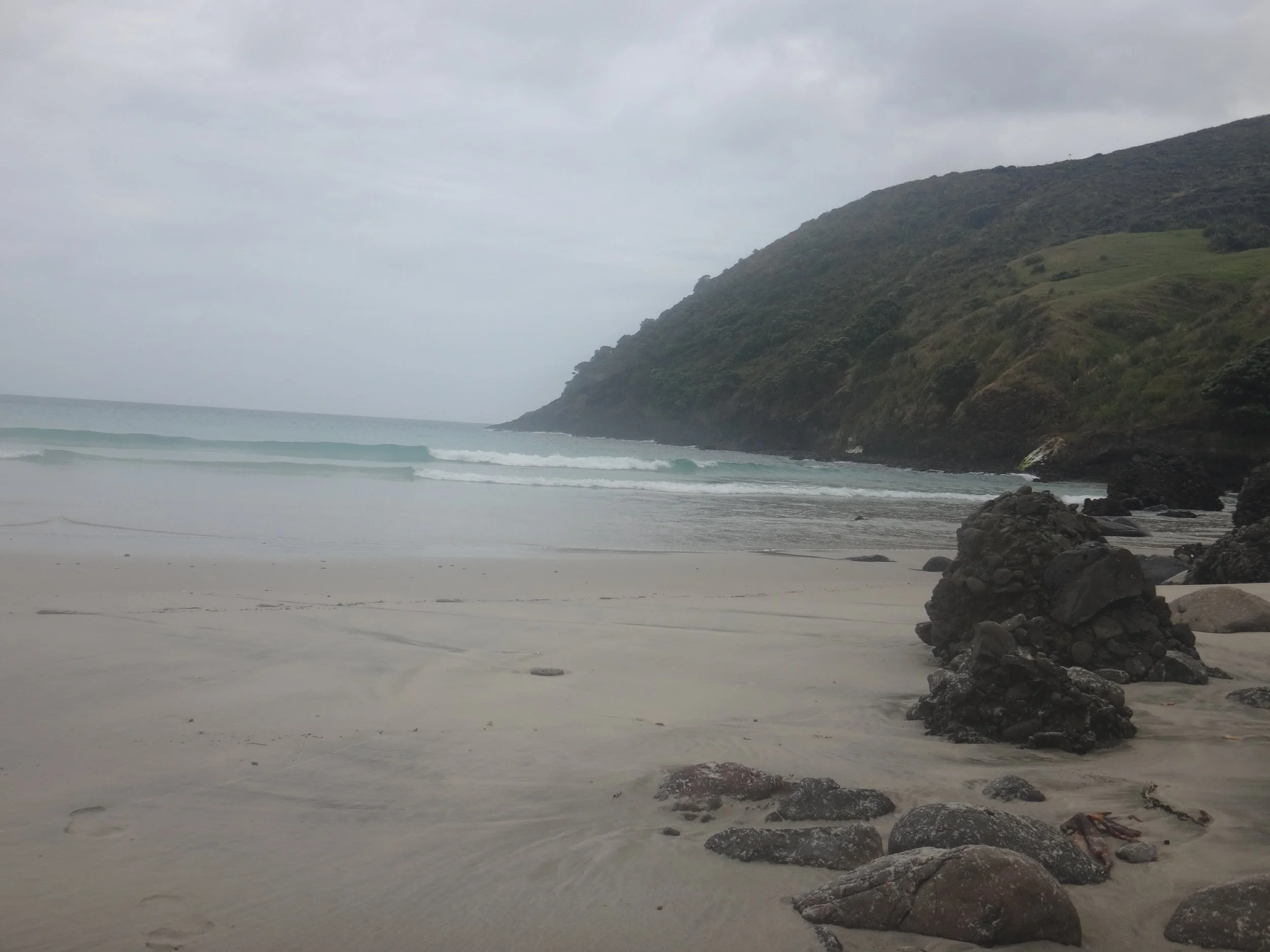 Dreaming at Spirits Bay.