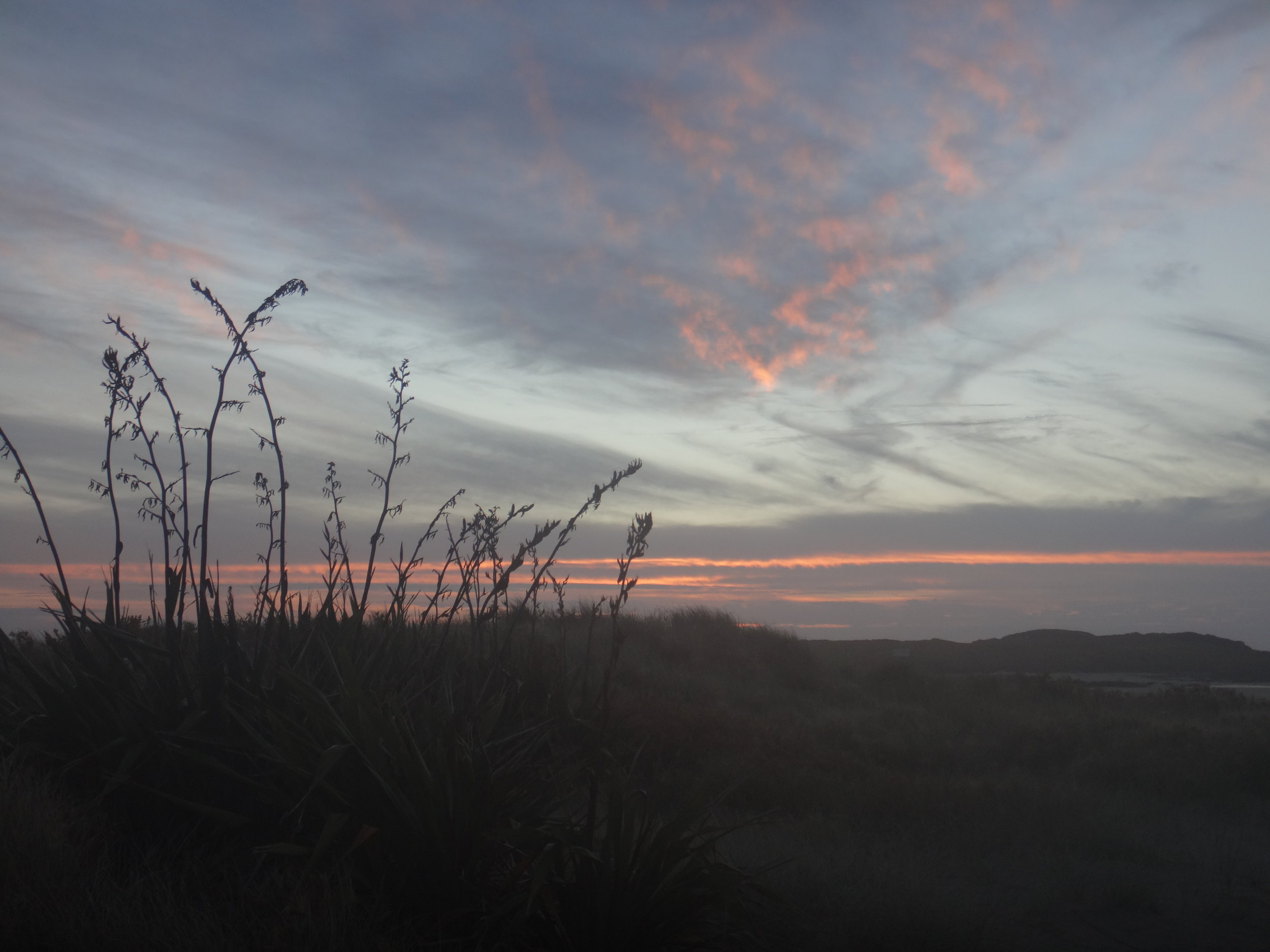 My heart loves these West Coast sunsets.