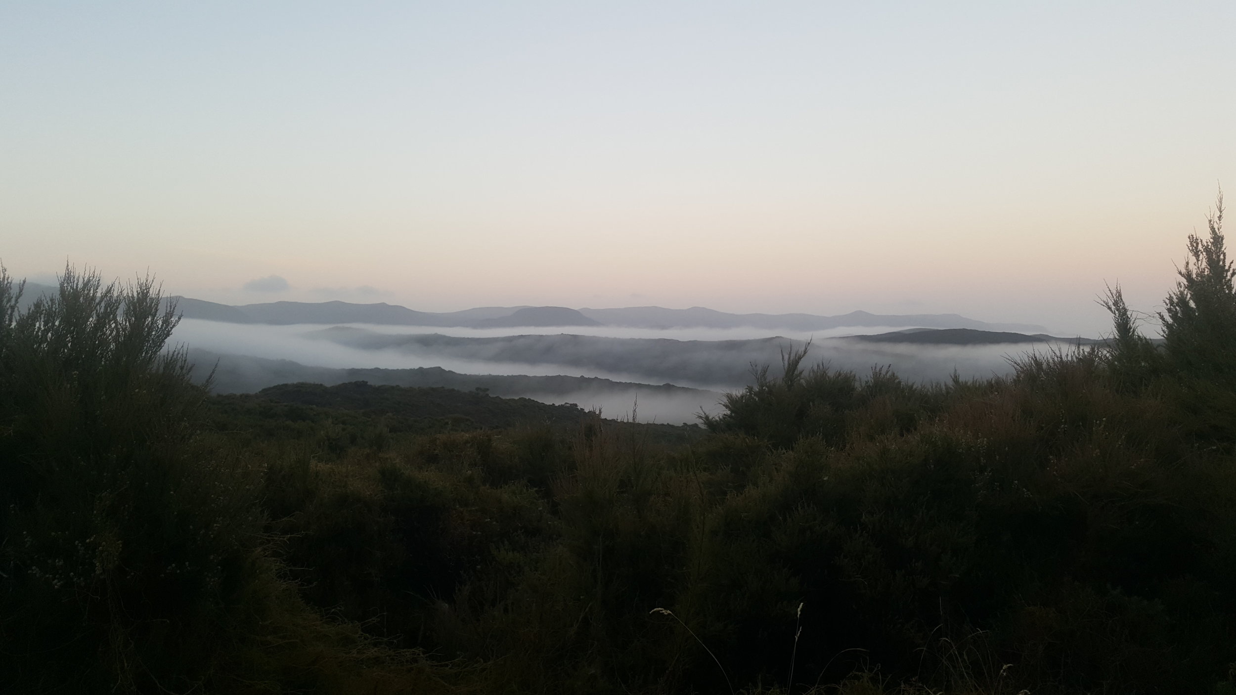 Aoteoroa. The land of the long white cloud.