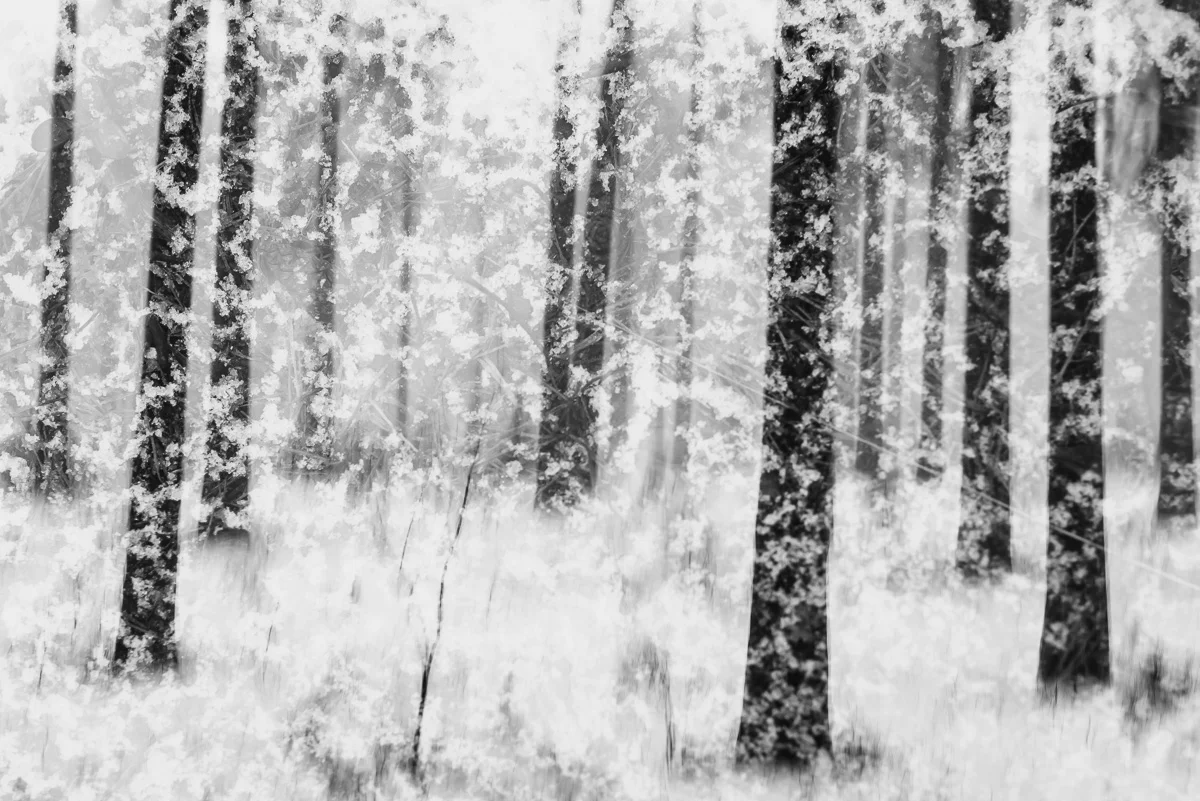 snowstorm-in-dragsvik.jpg