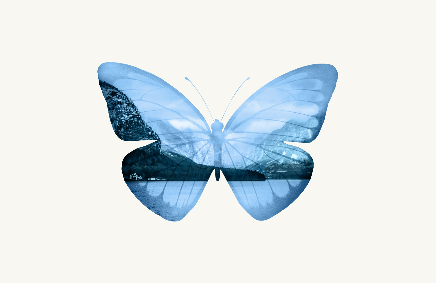 butterfly-visual.jpg