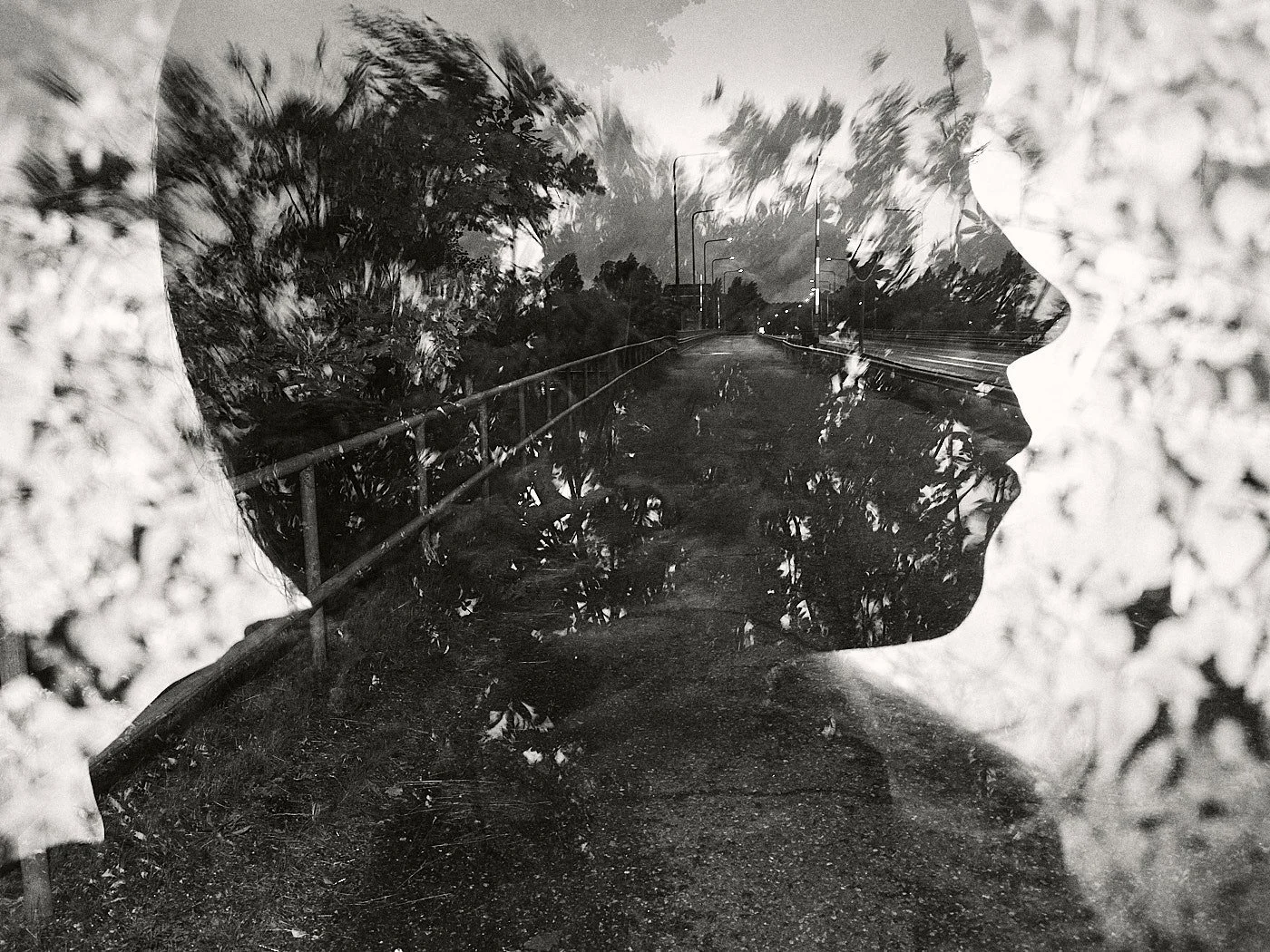 Double exposure portrait merged with forest landscape — Christoffer Relander, We Are Nature series